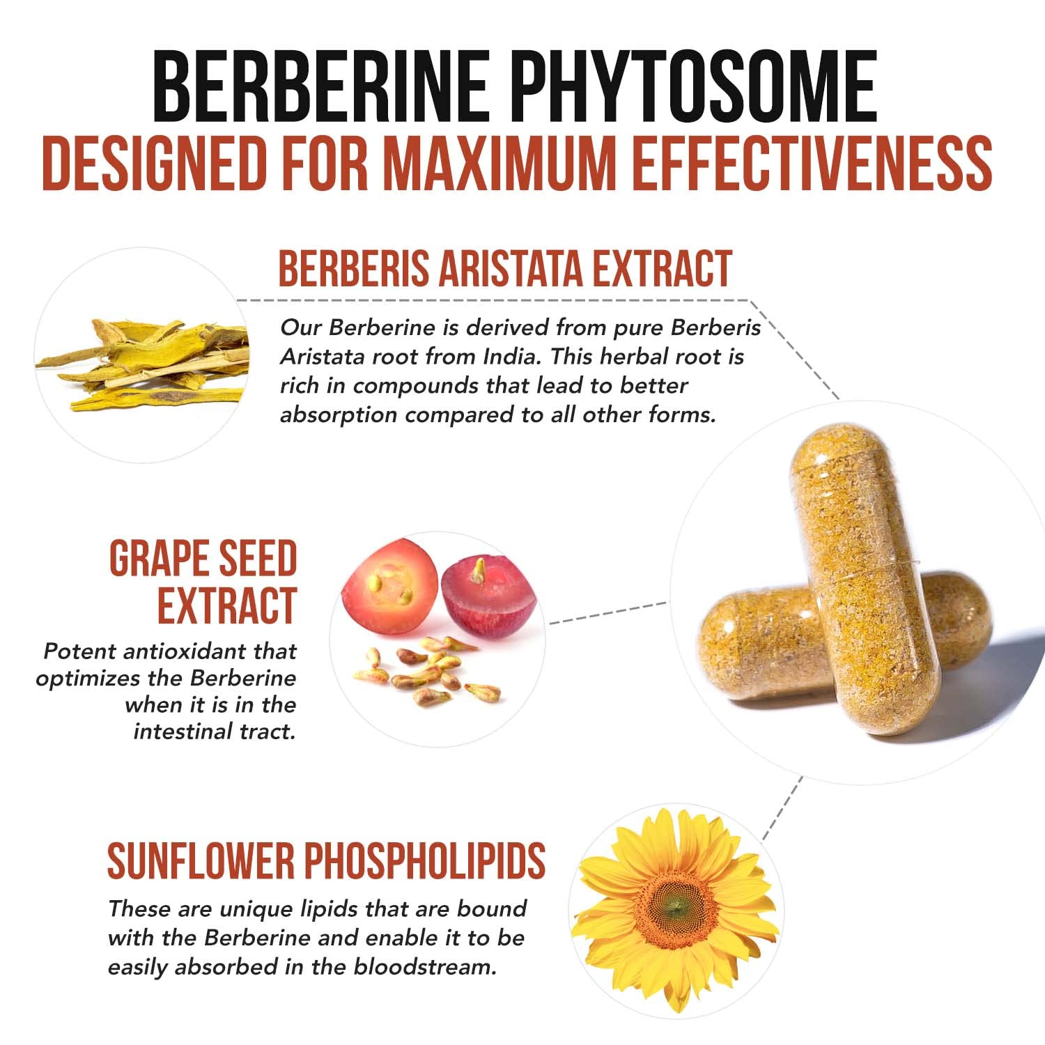 SoActive Berberine 550mg: 9.6X Higher Absorption, Clinically Proven Most Effective Triquetra HealthUS supplements