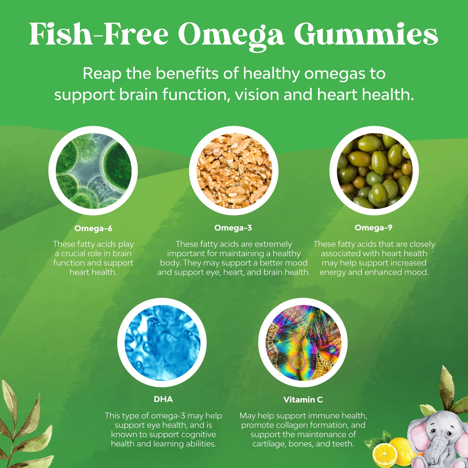 Bundle of Kids DHA Omega 3 Gummies - Fatty Acids Omega 3 6 9 for Brain Immune Strength Vision Focus Support and Liquid Multivitamin for Kids Immunity Support Natures CraftUS supplements