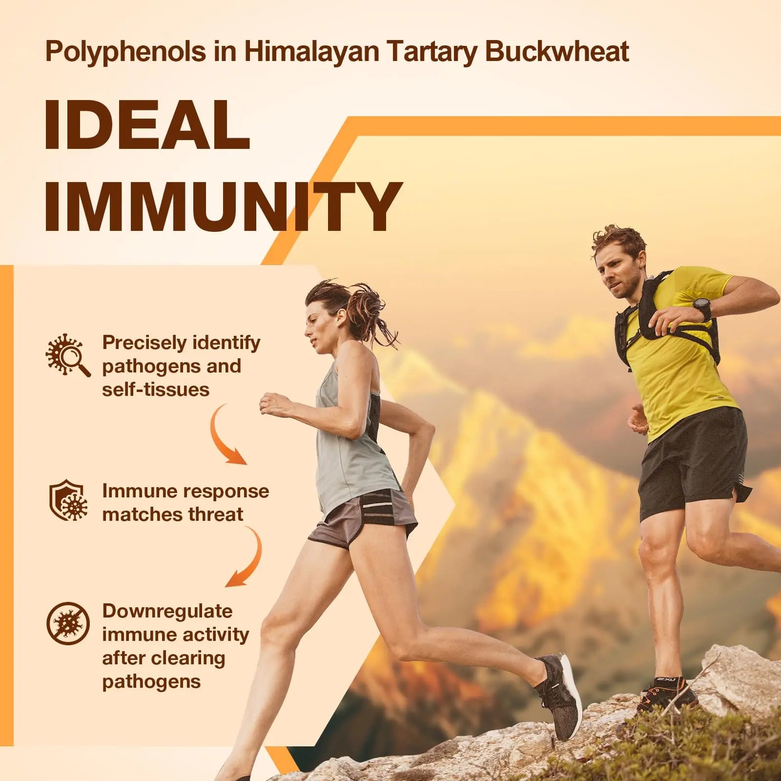 Nokuba Polyphenols Supplement for Immune Support | Himalayan Tartary Buckwheat Sourced | Polyphenol Superfood with Quercetin, Curcumin | Immune Booster, Antioxidant, Anti-inflammatory - 120 Capsules Nokubanz supplements