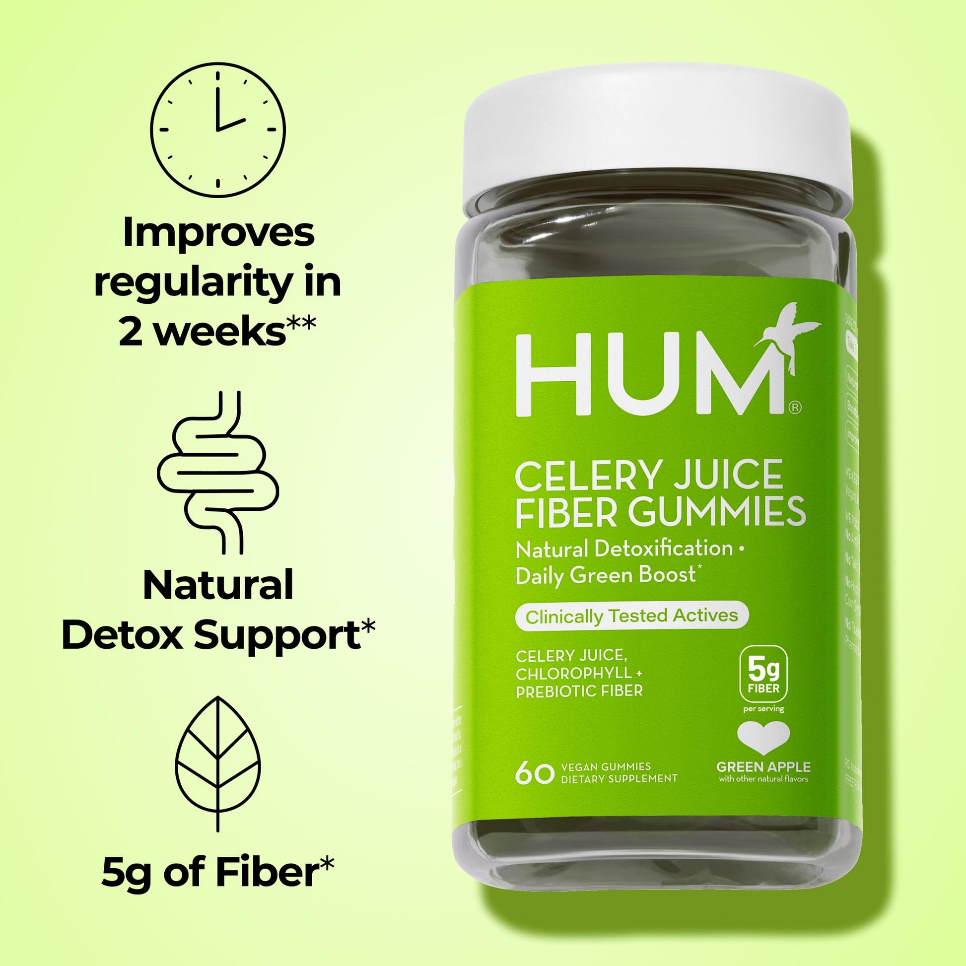 HUM Celery Juice Fiber Gummies for Adults, First Prebiotic Celery Juice Gummy, Gluten Free Fiber Supplement Supports Detoxification, Gut Health, Greens Gummies, Chlorophyll & Prebiotic Fiber, 60 Count HUMAu supplements