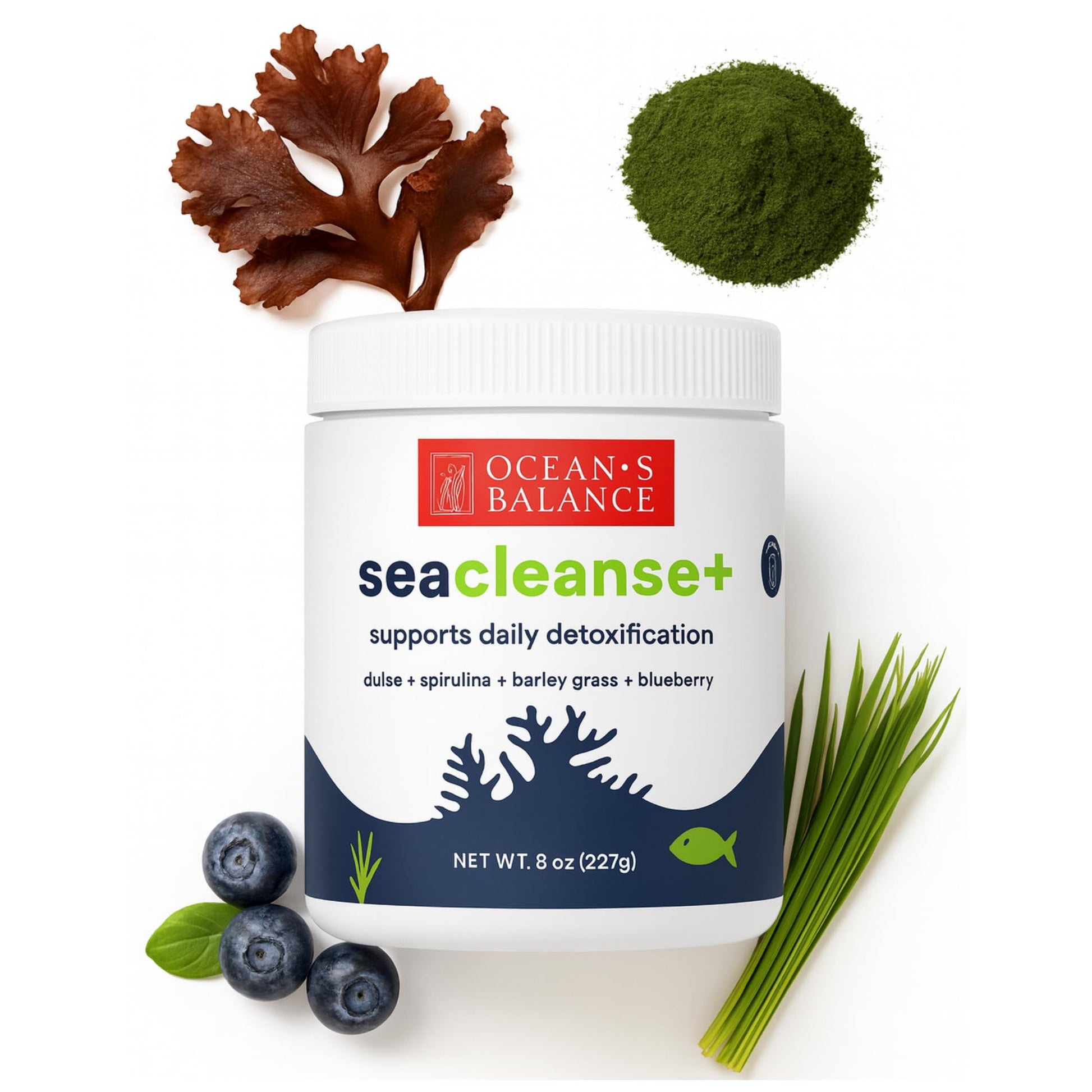 Ocean's Balance Seacleanse+ Daily Detox Cleanse Powder | Gut Health & Immune Support | Supports Gentle Cleanse & Vitality | 8oz Ocean's Balance Clean Taste of MaineAu supplements