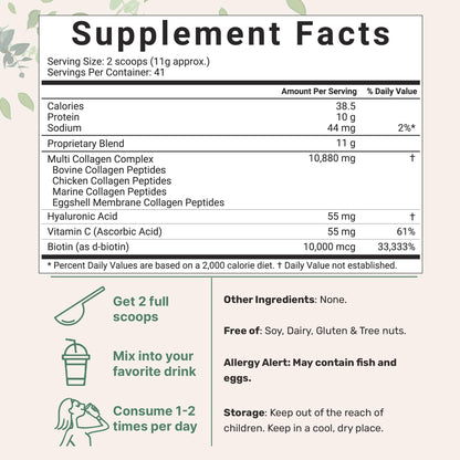 Multi Collagen Peptides Powder, 16 Oz - Hydrolyzed Protein Peptides Micro IngredientsUS supplements