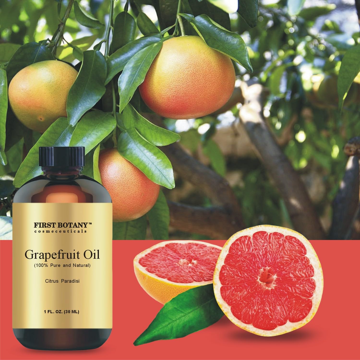 100% Pure Essential Oil - Premium Oil for Aromatherapy, Massage, Topical & Household Uses - 1 fl oz (Grapefruit) First BotanyAu supplements