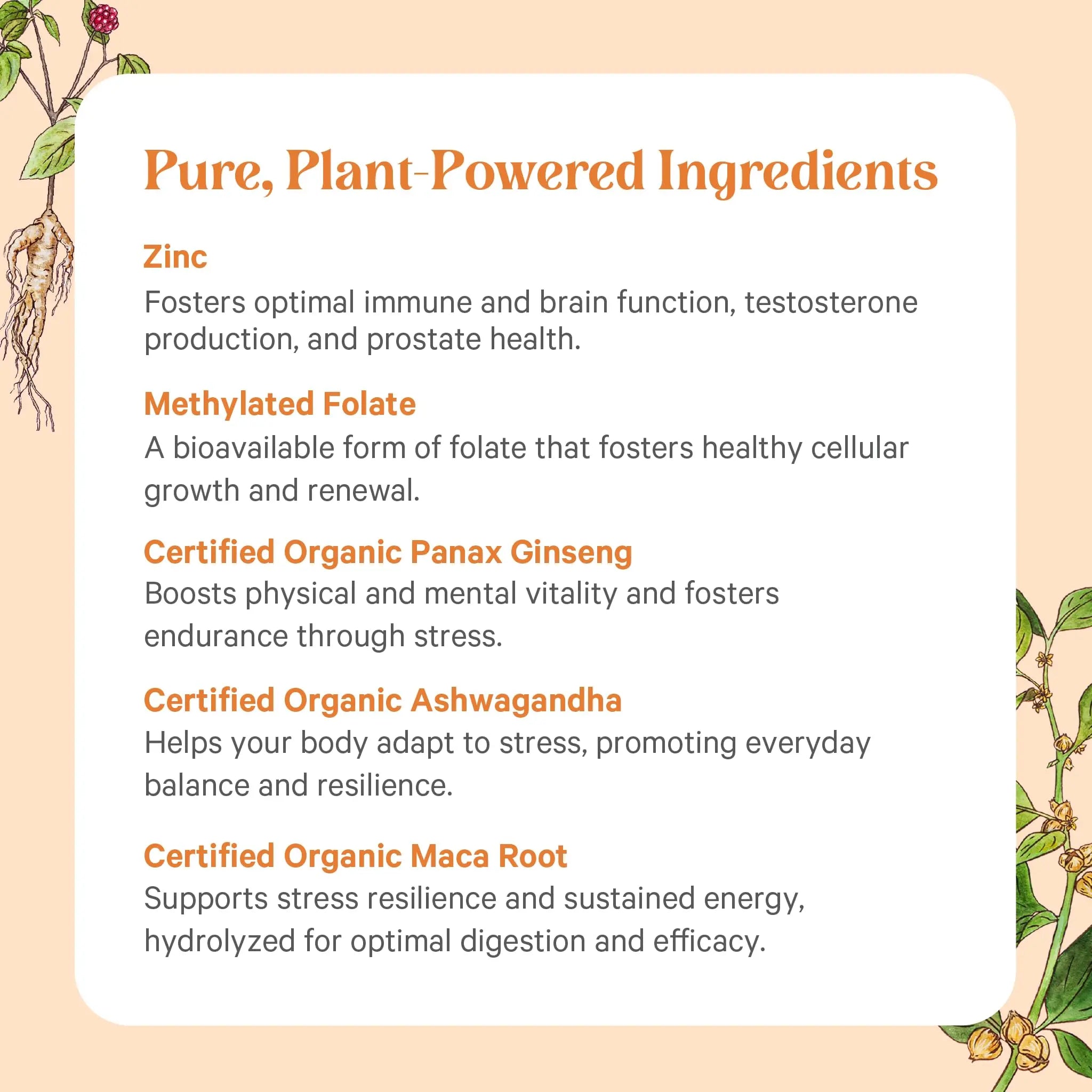 PURE SYNERGY Vita·Min·Vitality | Natural Multivitamin for Men | Men’s Daily Multivitamin Made with Organic Whole Foods | PURE SYNERGYAu supplements