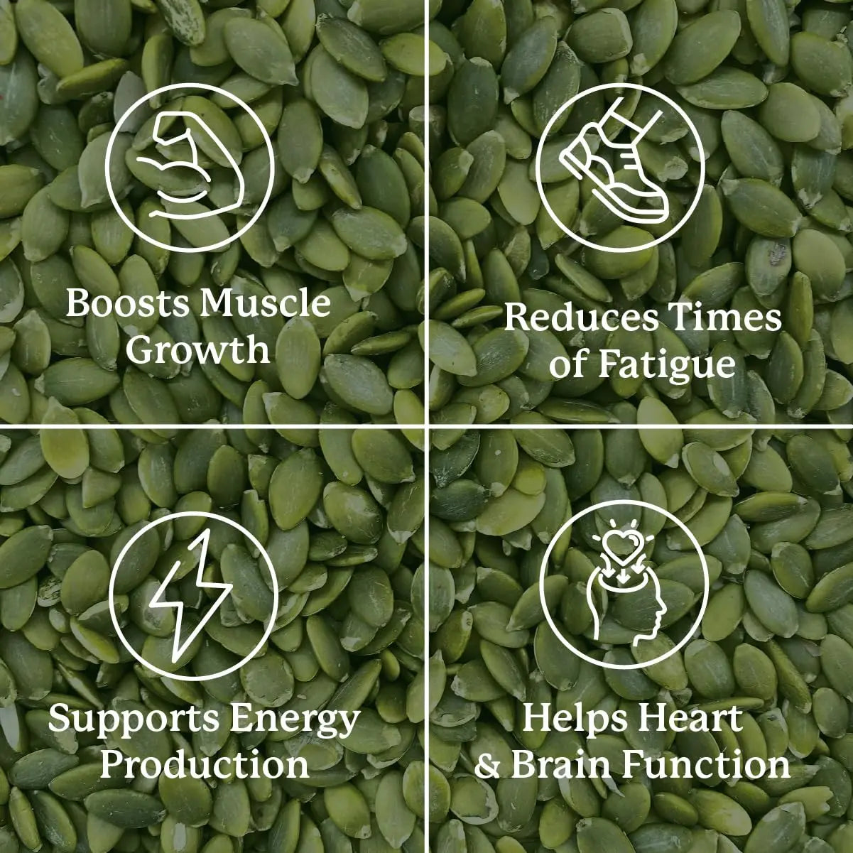 Nature’s Sunshine Magnesium Complex - High Potency Magnesium Supplement with Citrate & Malate for Relaxation, Optimal Absorption, Muscle Function, Energy Production - 50 Servings (100 Capsules) Nature's Sunshinenz supplements