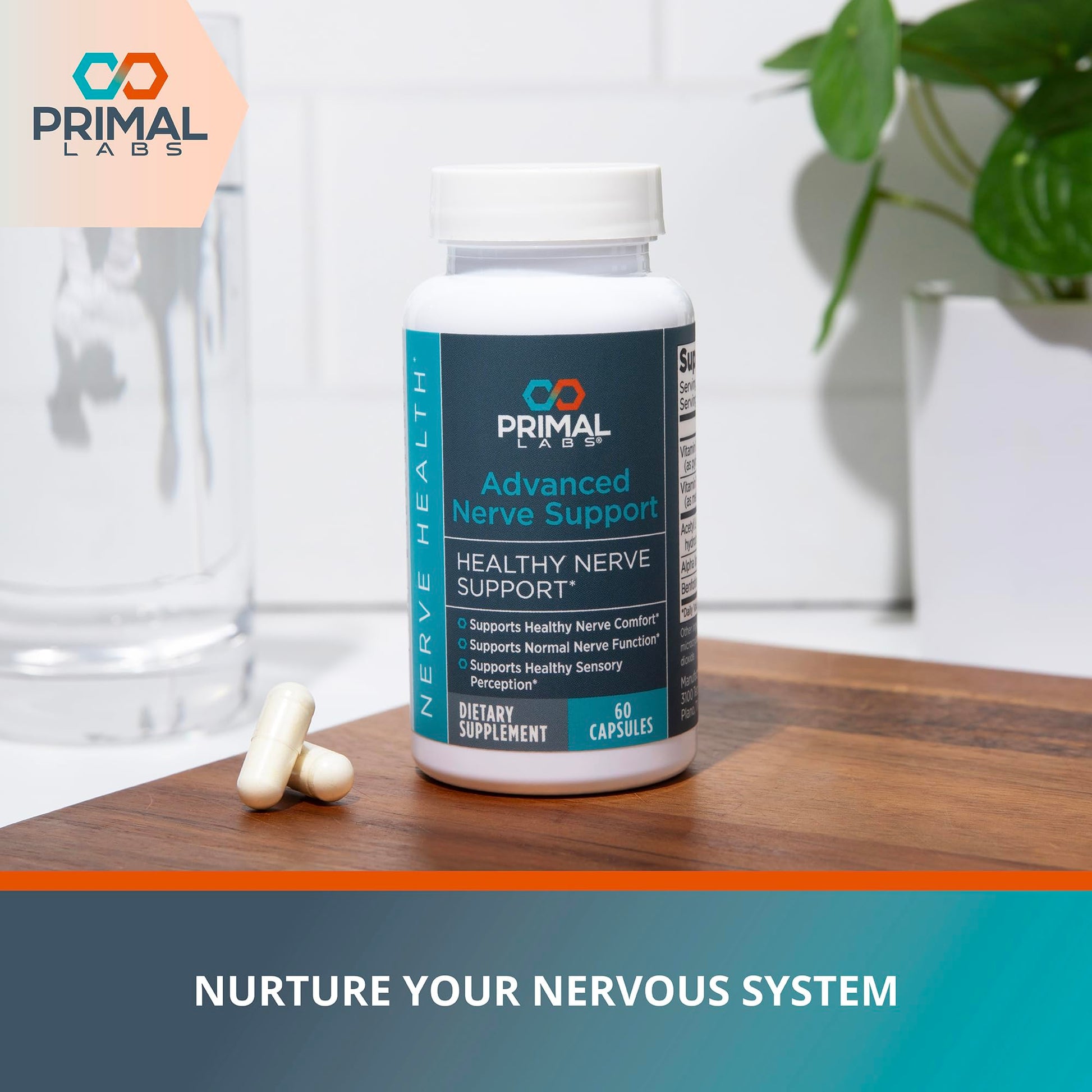 Primal Labs Nerve Support Capsules - Supports Nerve Health, Sensory Function & Comfort - Benfotiamine, Alpha Lipoic Acid, Acetyl L-Carnitine, Vitamins B6 B12-60 Count Primal LabsAu supplements