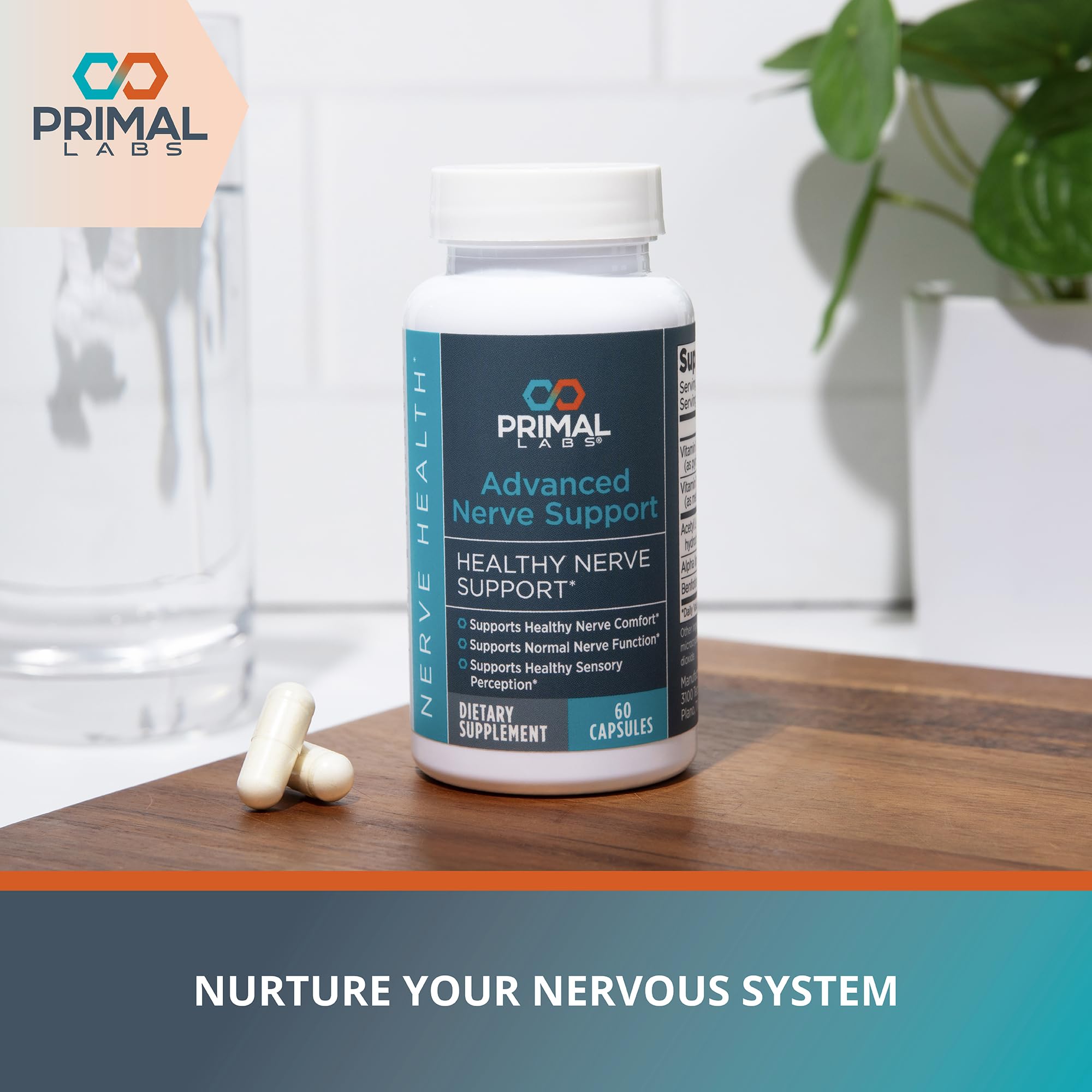 Primal Labs Nerve Support Capsules - Supports Nerve Health, Sensory Function & Comfort - Benfotiamine, Alpha Lipoic Acid, Acetyl L-Carnitine, Vitamins B6 B12-60 Count Primal LabsAu supplements