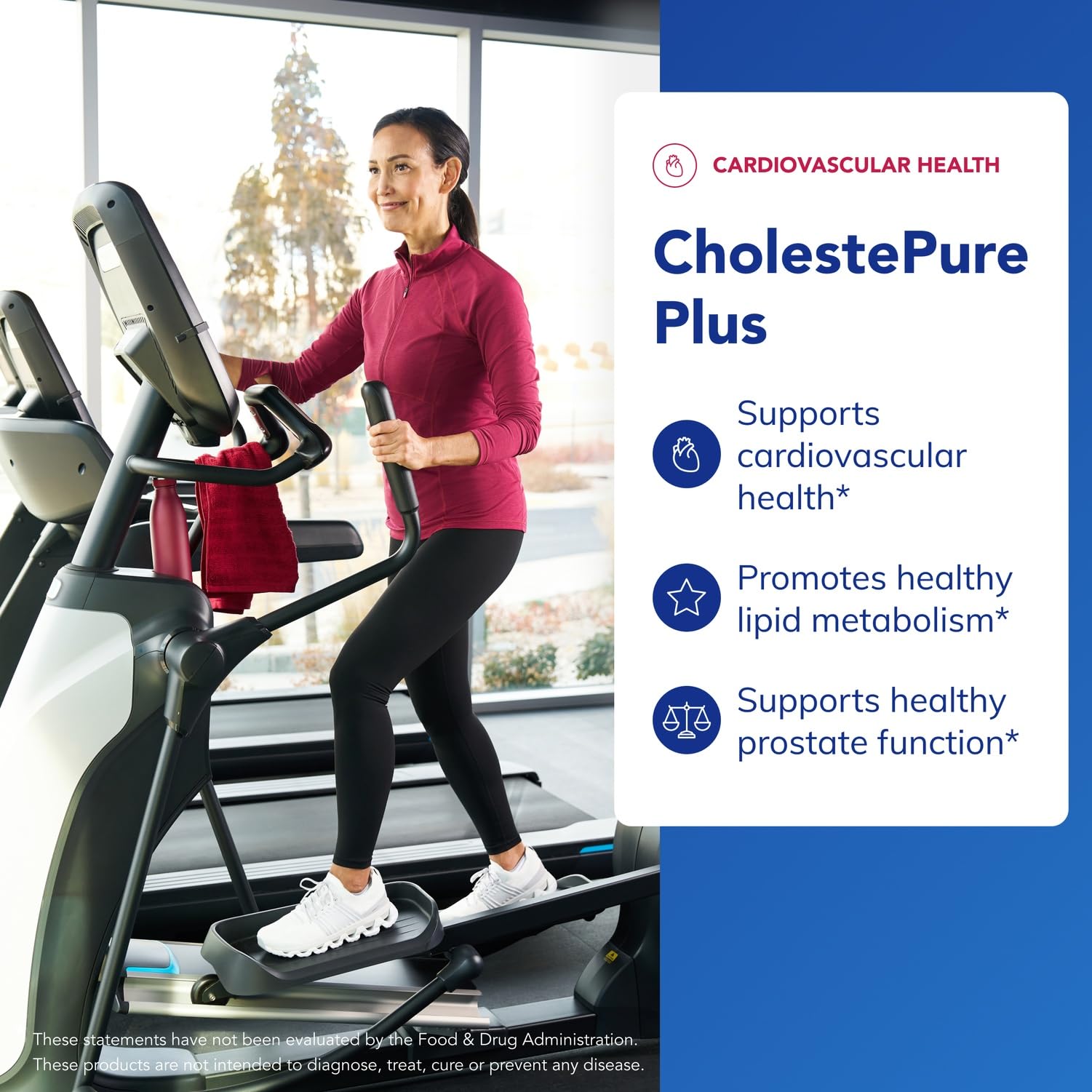 Pure Encapsulations CholestePure Plus 120's - Supports Lipid Metabolism & Heart Health* - Berberine Supplement - with Citrus Bergamot - Gluten Free & Non-GMO - 120 Capsules Pure EncapsulationsAu supplements