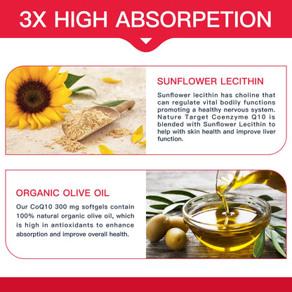 NATURE TARGET CoQ10-300mg-Softgels + PQQ with Organic-Olive-Oil - High Absorption NATURE TARGETUS supplements
