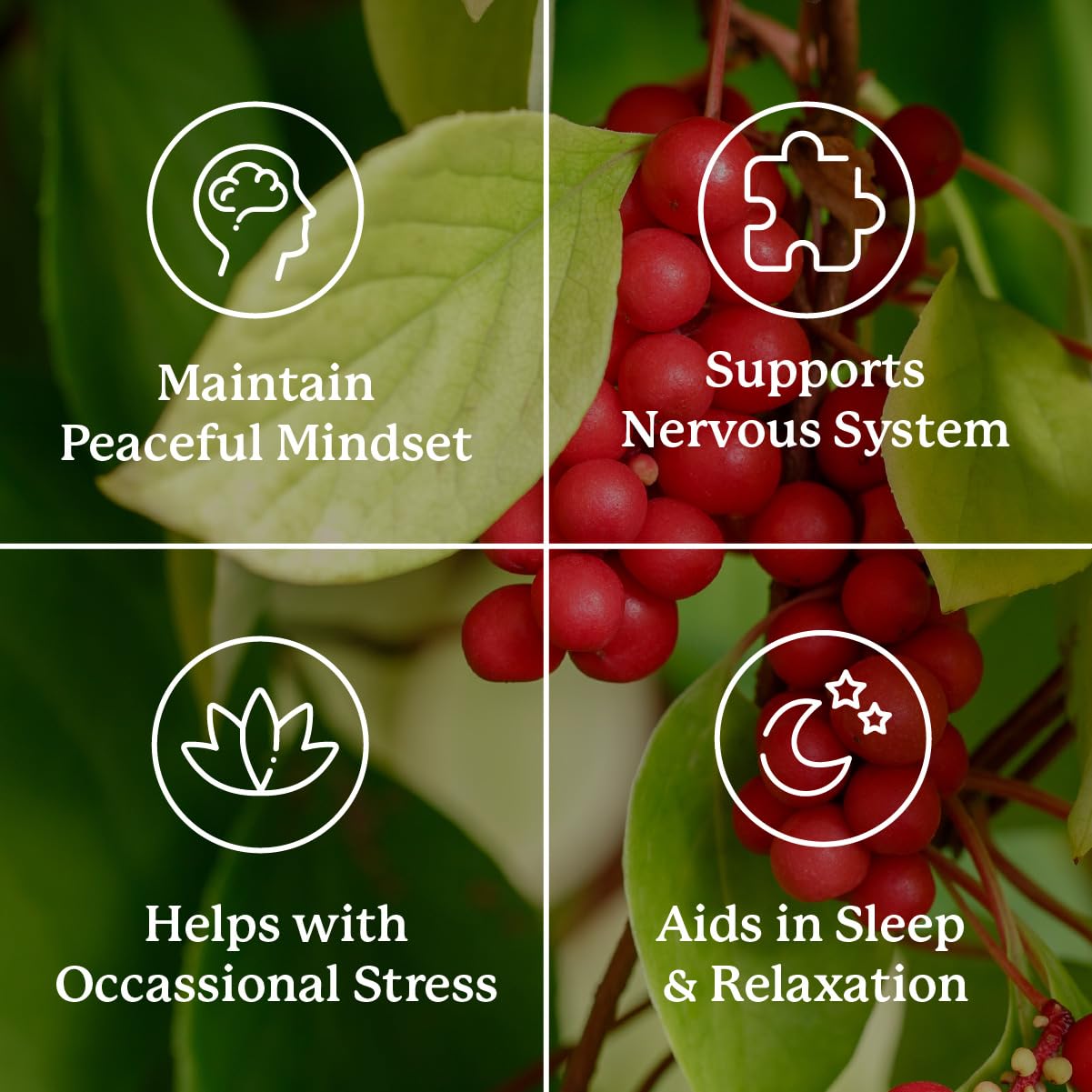 Nature's Sunshine Nutri-Calm- Herbal Stress Relief Supplement for Natural Relief, Mood Support and Boost, Nervous System Support - 100 Count Nature's SunshineAu supplements