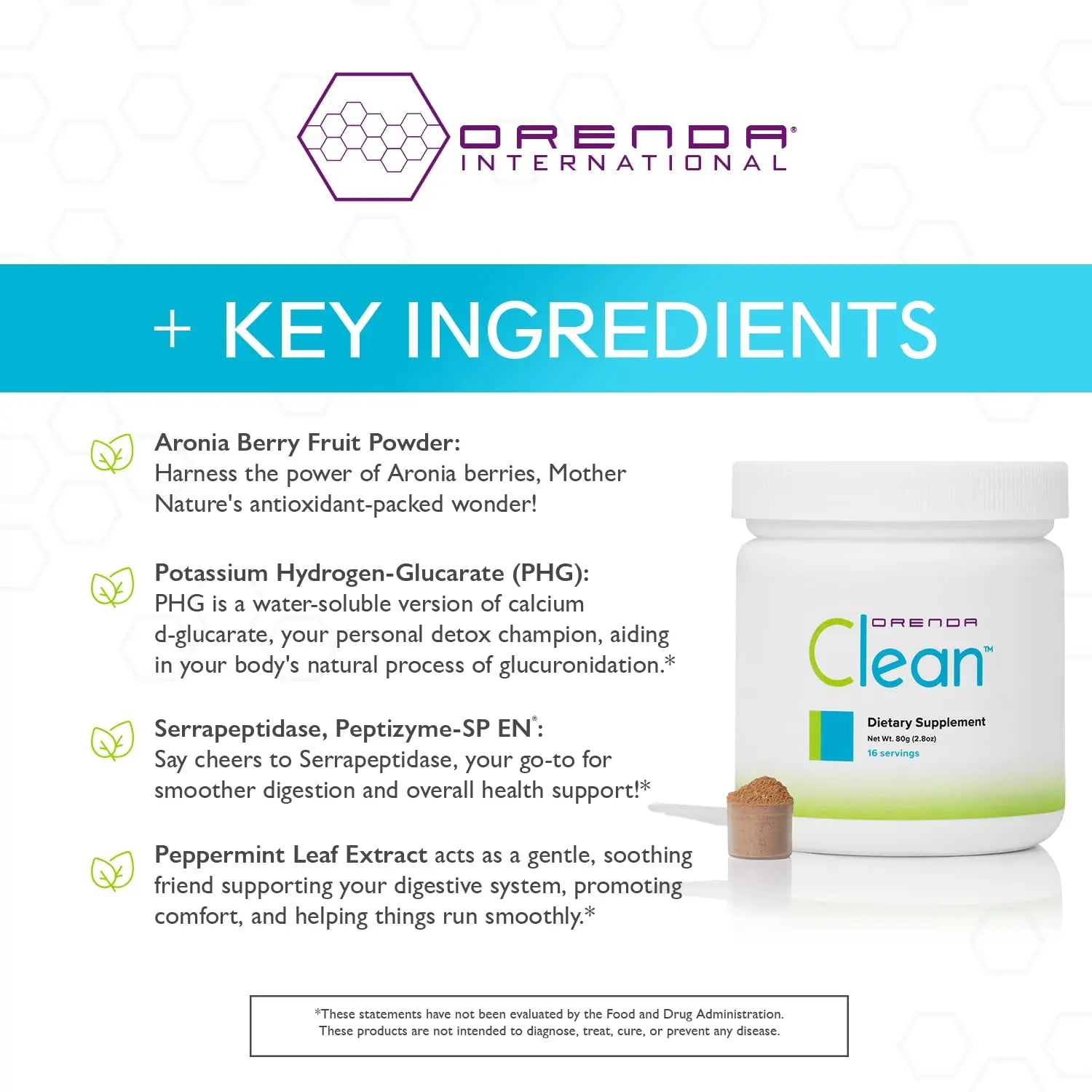 Orenda Clean - Peptizyme-SP EN, Aronia Berry, Aloe Vera and More for Digestive Support - Nutrient-Rich Supplement for Wellness - 80g, 16 Servings Orenda InternationalAu supplements