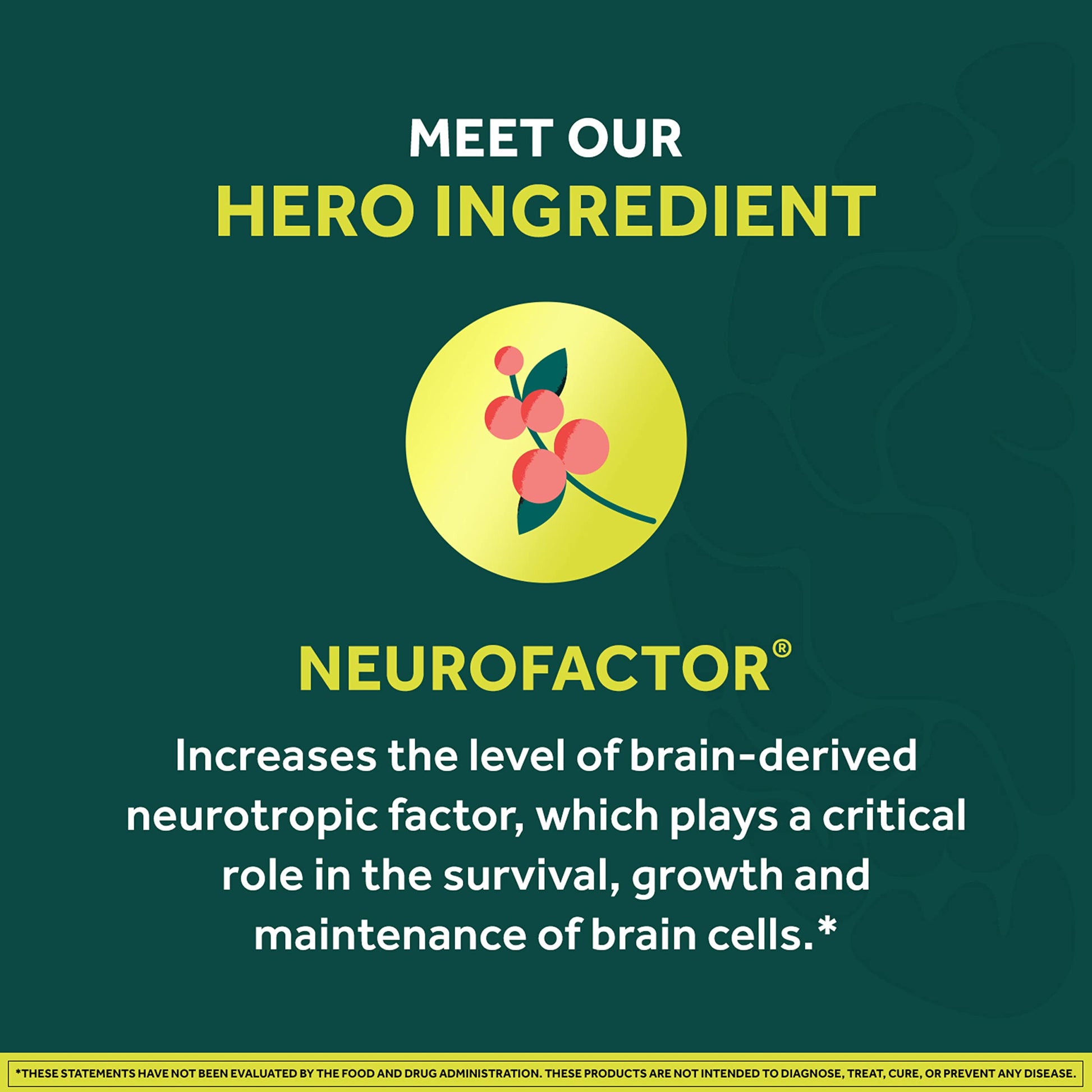 NEURIVA Brain + Energy Gummies, Nootropic Brain Supplements for Focus and Concentration with Neurofactor, Vitamin B12 & Caffeine for an Energy Boost*, 75ct Natural BlackBerry NEURIVAAu supplements