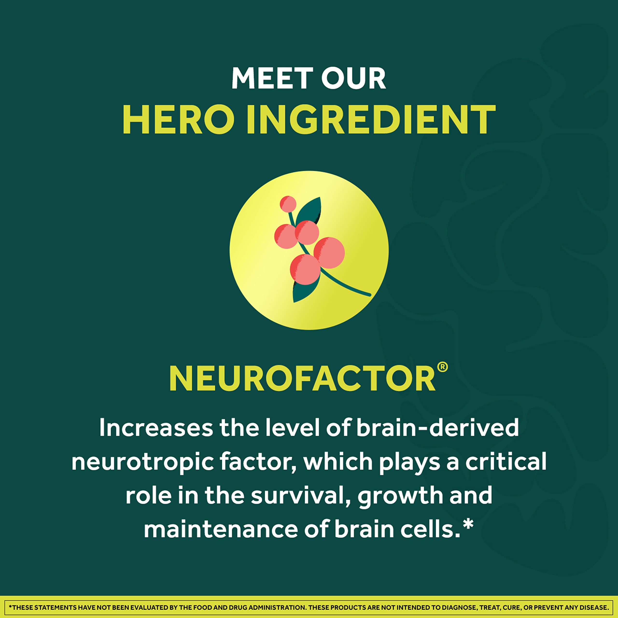 NEURIVA Brain + Energy Gummies, Nootropic Brain Supplements for Focus and Concentration with Neurofactor, Vitamin B12 & Caffeine for an Energy Boost*, 75ct Natural BlackBerry NEURIVAAu supplements