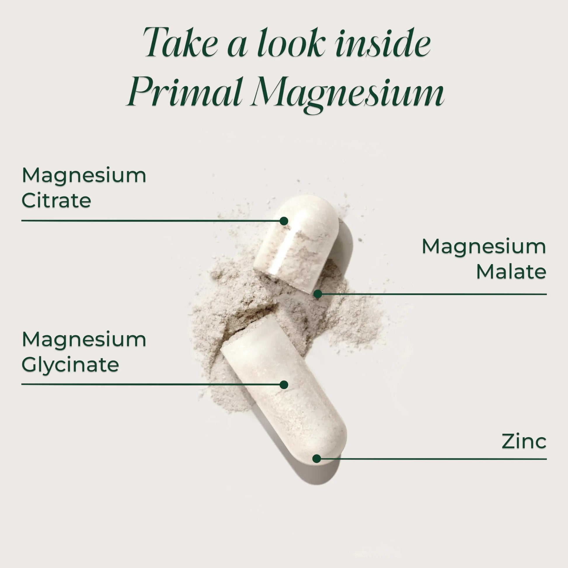 Magnesium Supplement Complex 310mg by Primal Harvest with Magnesium Glycinate, Citrate, Malate, and Zinc 120 Capsules Primal Harvestnz supplements