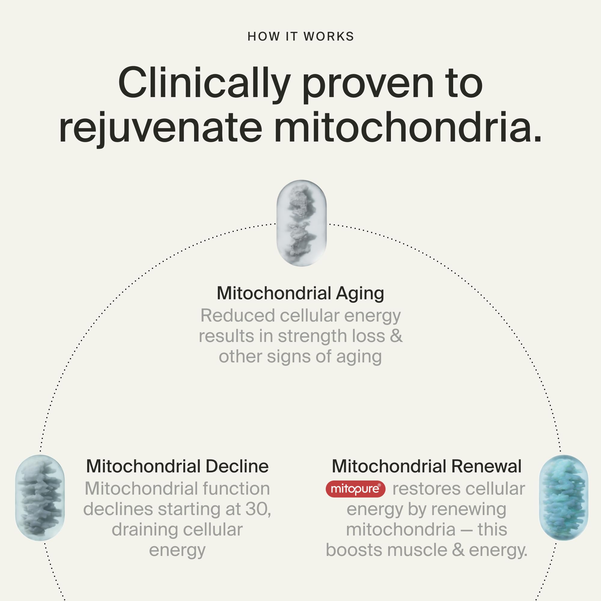 Timeline Mitopure Urolithin A Supplement Gummies - Clinically Proven Support for Healthy Aging Cellular Energy Muscle Strength and Longevity TimelineAu supplements