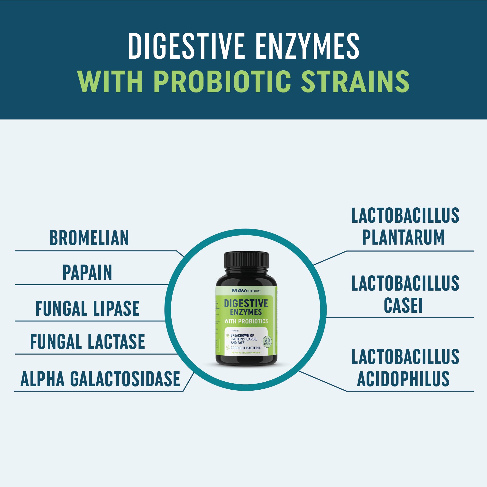 Digestive Enzymes with Probiotics for Bloating Relief & Digestive Health MAV NUTRITIONUS supplements