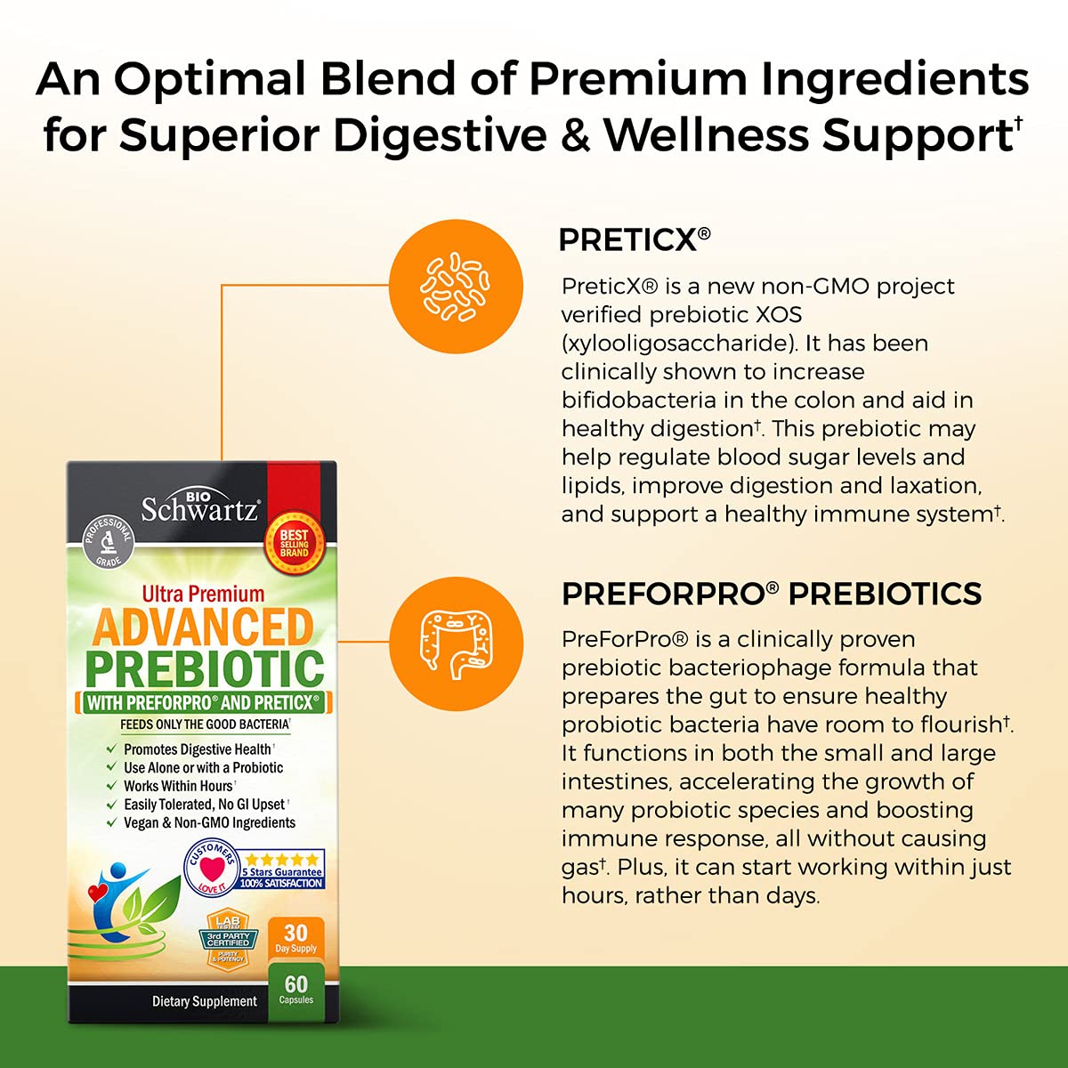 Prebiotics for Advanced Gut Health - Immune System Support & Dietary Fiber BioSchwartzAu supplements