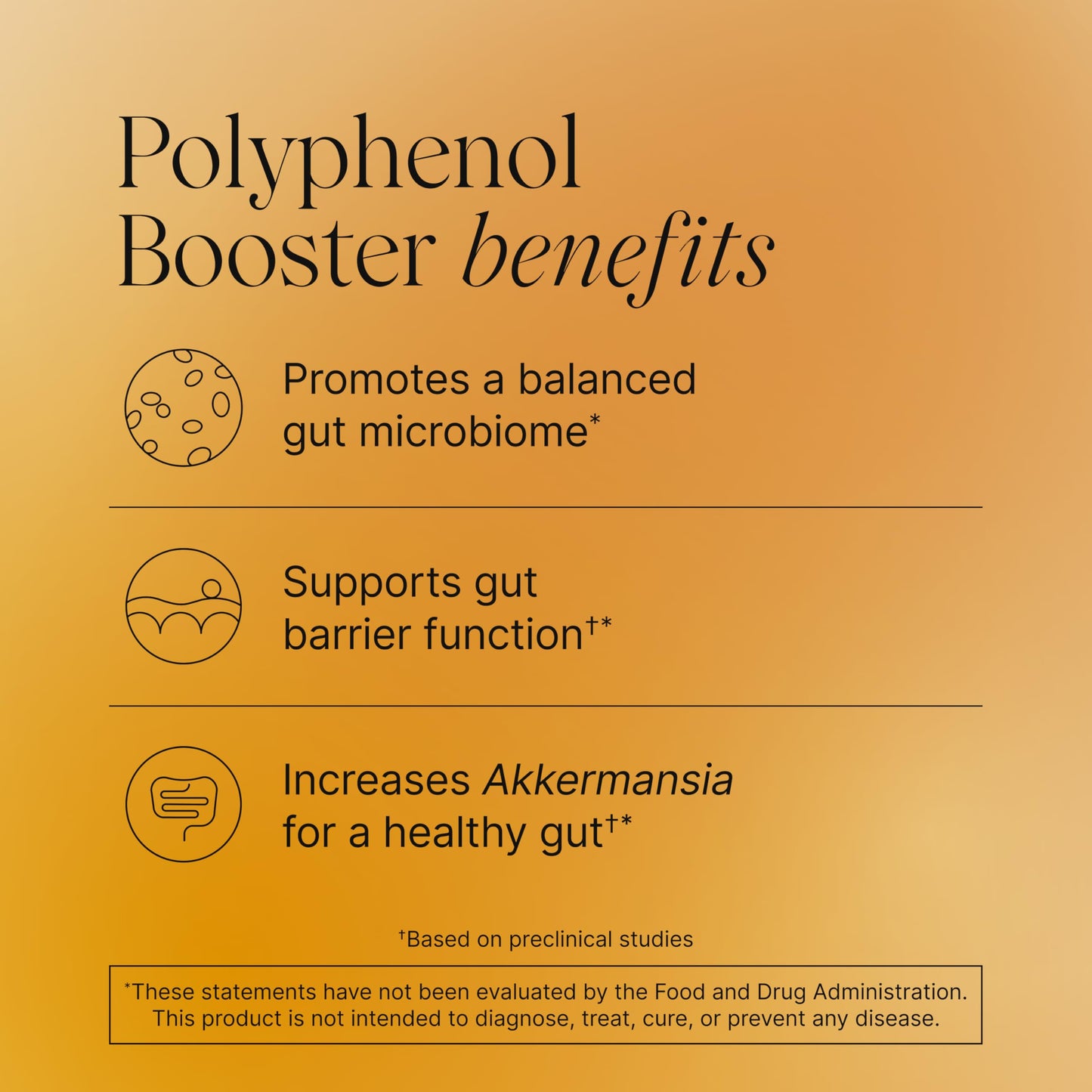 Pendulum Polyphenol Booster, Antioxidant from Superfoods, Beneficial Plant Compounds for Good Health, Helps Boost Akkermansia Muciniphila for Men & Women (60 Capsules, 1-Pack) PendulumUS supplements