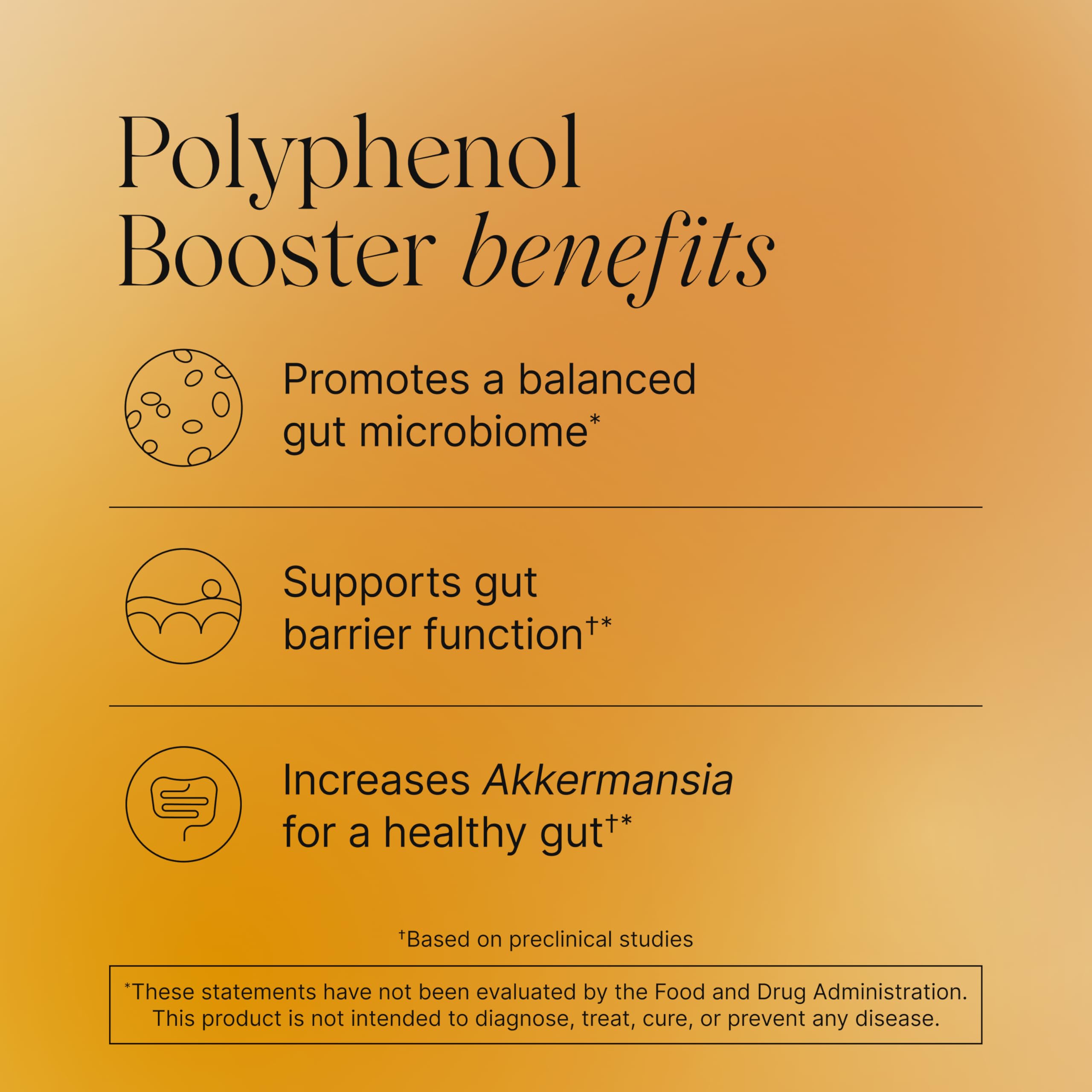 Pendulum Polyphenol Booster, Antioxidant from Superfoods, Beneficial Plant Compounds for Good Health, Helps Boost Akkermansia Muciniphila for Men & Women (60 Capsules, 1-Pack) PendulumUS supplements