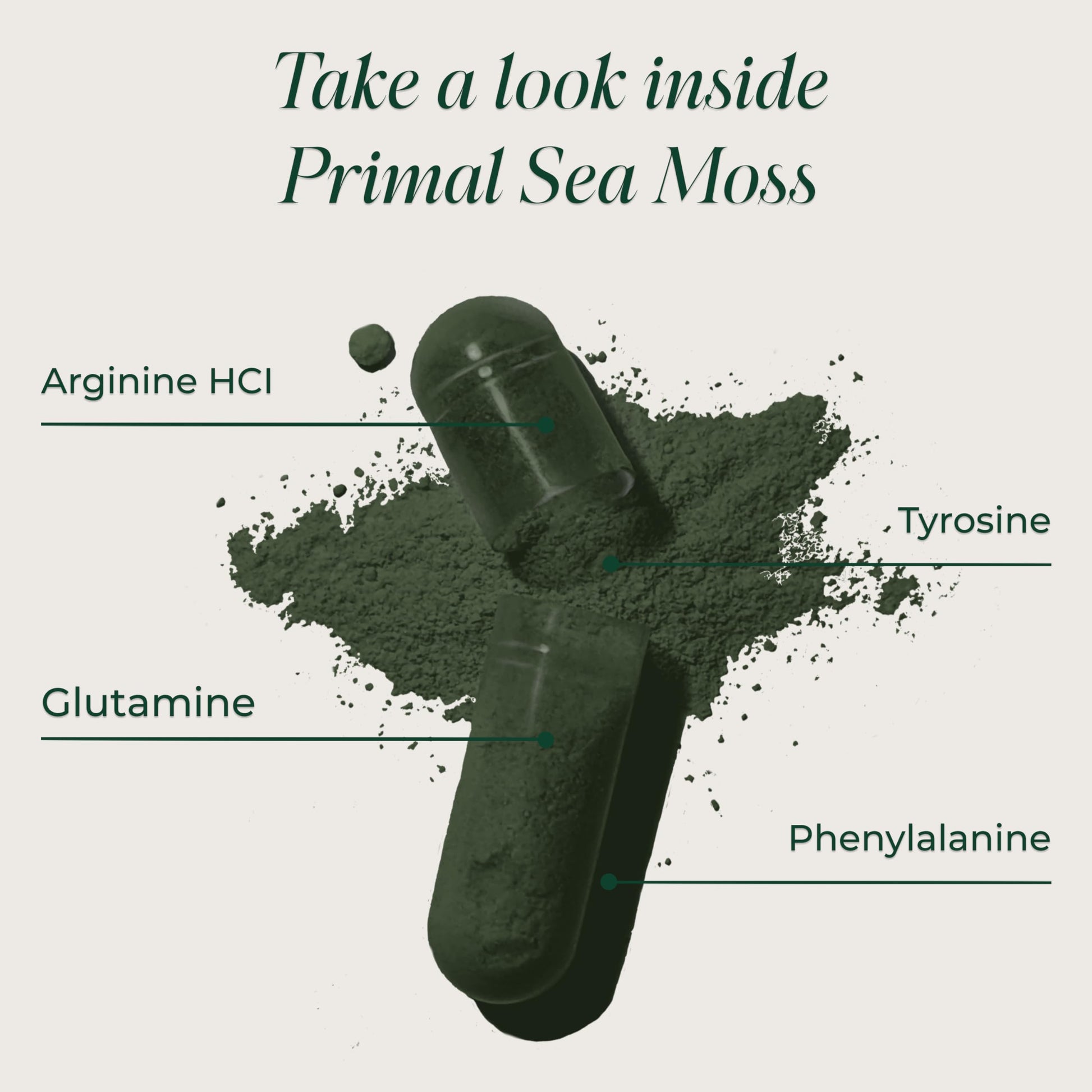 Primal Harvest Sea Moss Capsules with Bladderwack and Irish Sea Moss, Chlorella, Broccoli Seed Extract Plant-Based Supplements for Adults Primal HarvestAu supplements