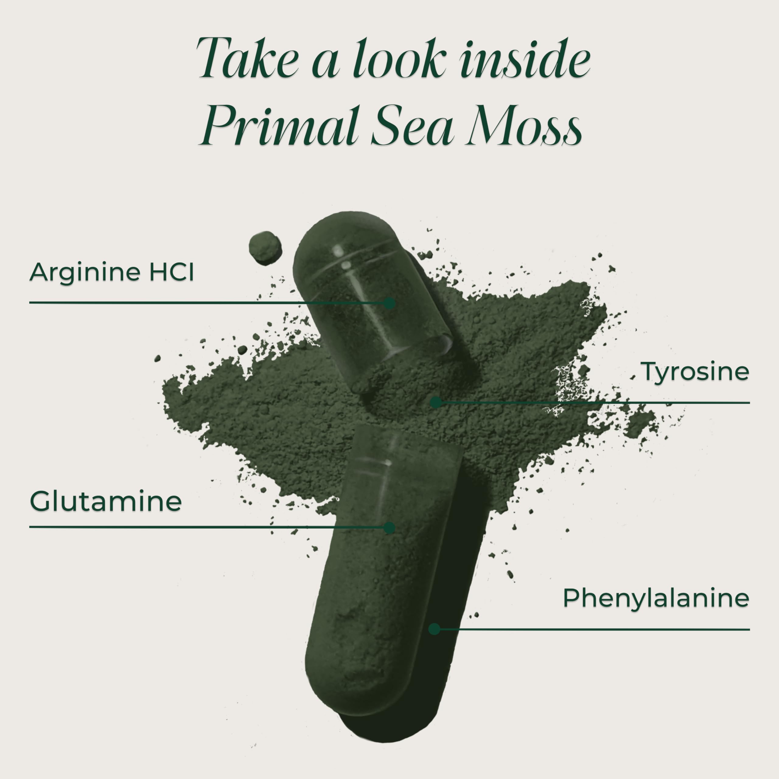 Primal Harvest Sea Moss Capsules with Bladderwack and Irish Sea Moss, Chlorella, Broccoli Seed Extract Plant-Based Supplements for Adults Primal HarvestAu supplements