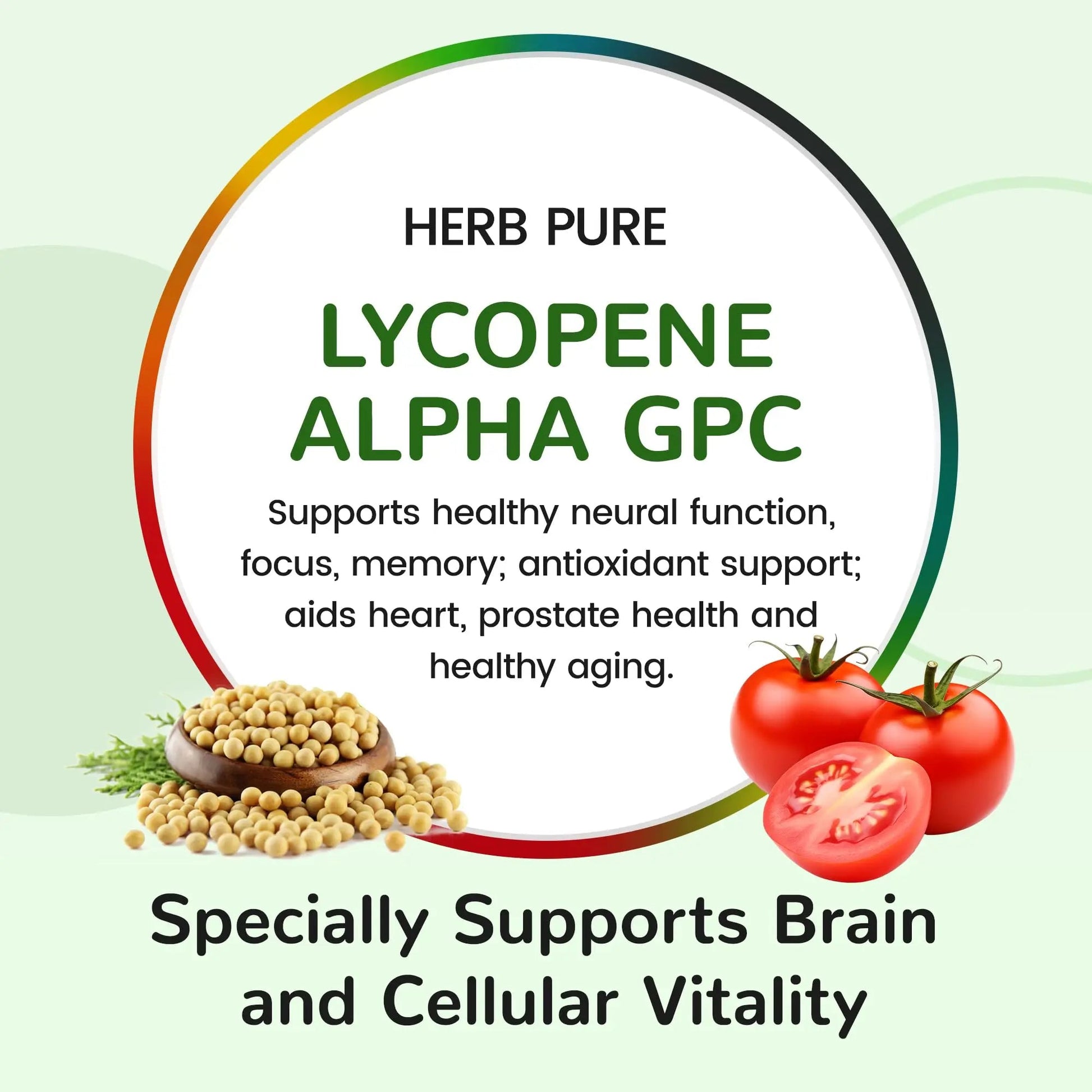 HERB PURE Multi Vitamin Complex Daily Multivitamin for Men and Women – 28 Essential Vitamins & Minerals with Active Vitamins, Superfood Blend, Alpha GPC HERB PUREAu supplements