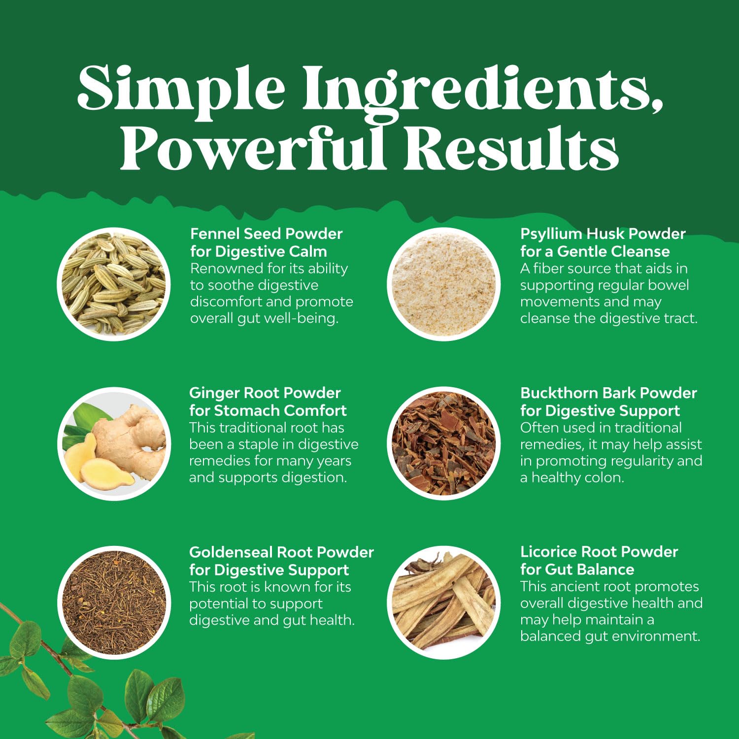 Colon Cleanser & Detox - Lactobacillus Acidophilus Probiotic Supplement Body Cleanse Natures CraftAu supplements