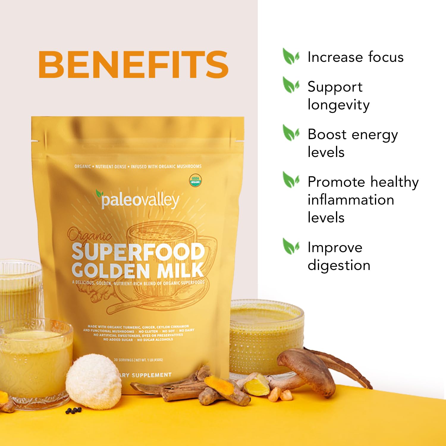 Paleovalley Organic Superfood Golden Milk - Immune, Focus, Cognitive, Longevity - Turmeric, MCT-Rich Coconut Milk, Functional Mushrooms, 30 Servings PaleovalleyUS supplements