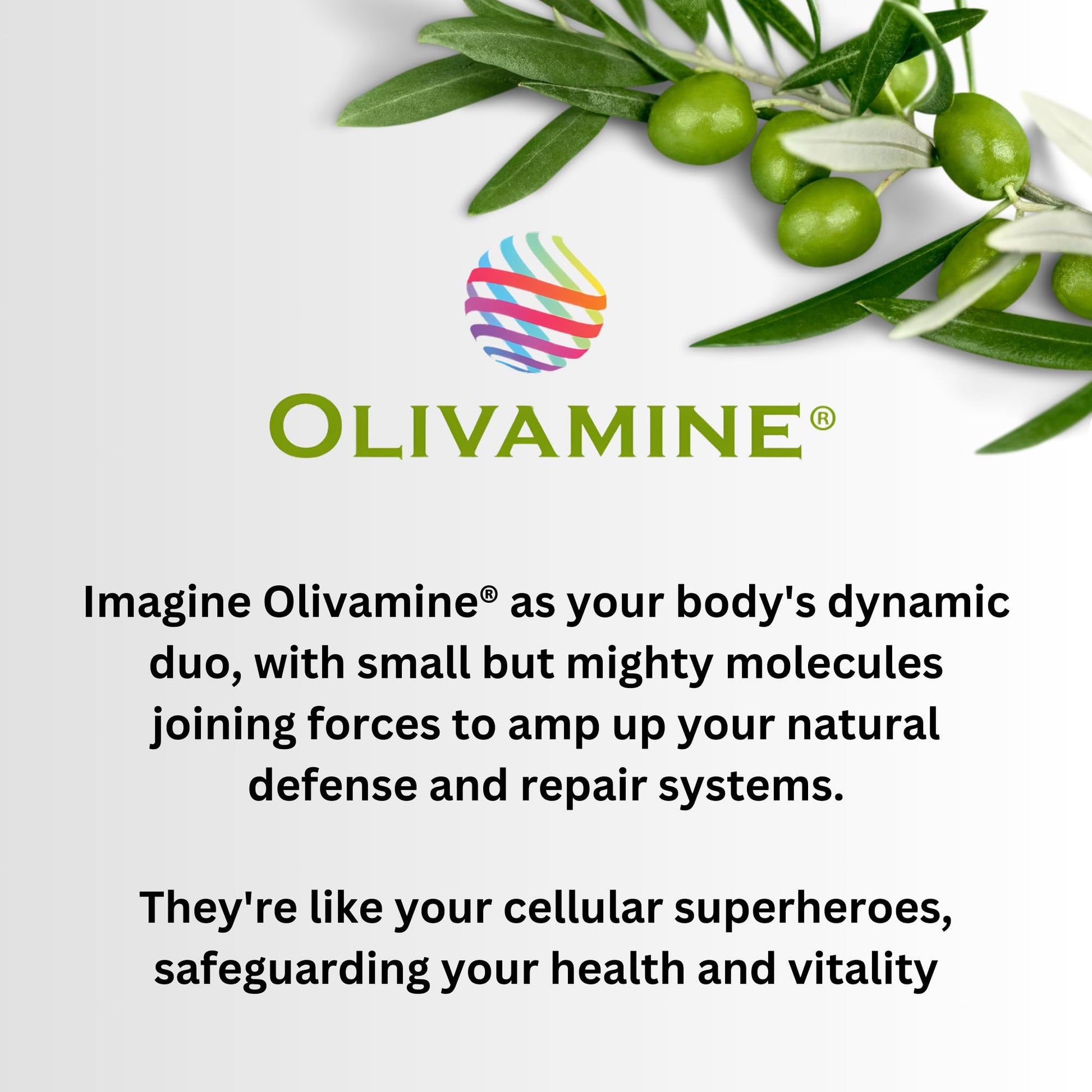 BrainHealth Brain Supplement - Amplify Memory, Increase Focus, Enhance Clarity & Gain Productivity For Men & Women, Olivamine, Vitamin D, Vitamin B6 & B12, Rhodiola Rosea, Magnesium, Taurine PinnaclifeAu supplements