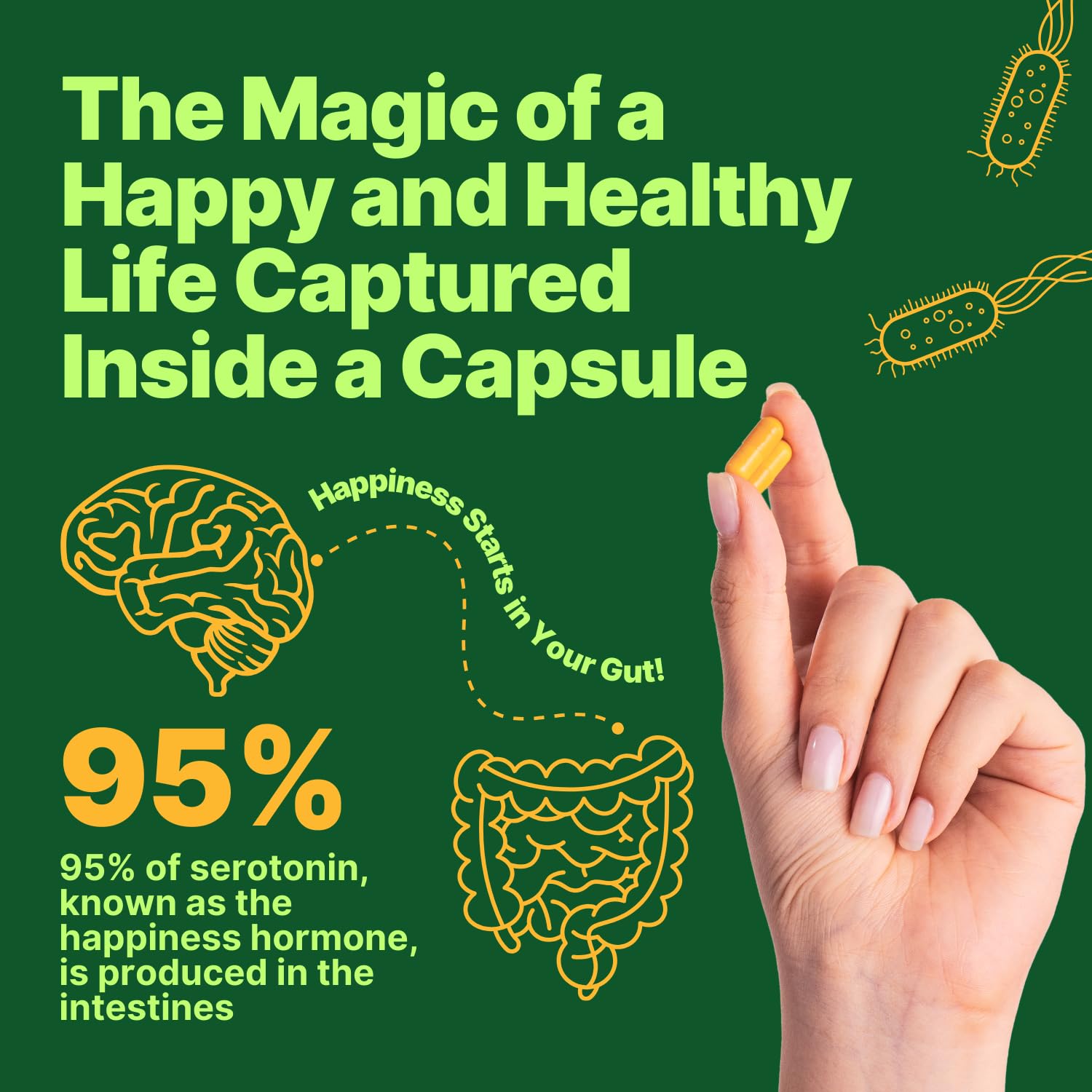 anocin Akkermansia Muciniphila + Probiotic, Postbiotic & Inulin - Gut Health Supplement for Digestion, Immune Support - 10 Billion CFU, Vegan & Gluten-Free anocinAu supplements