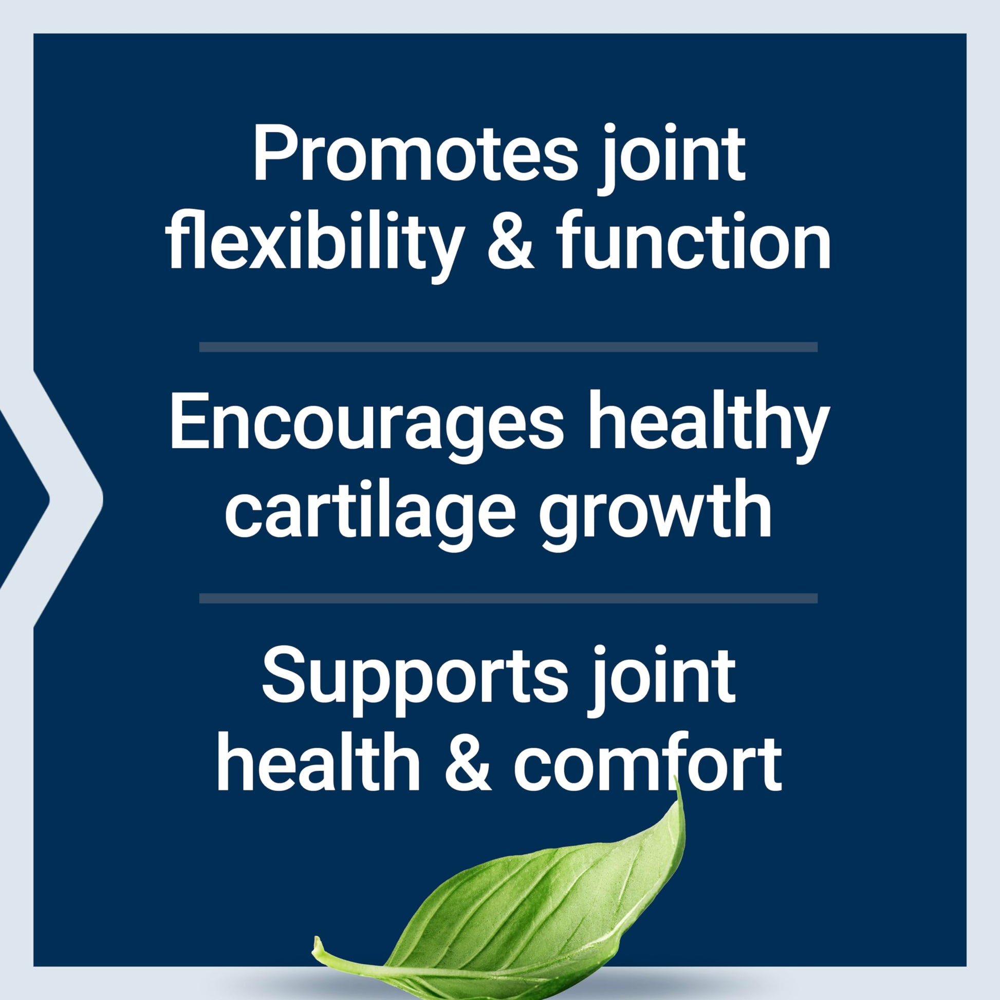 Life Extension NT2 Collagen™, Joint Health Supplement for Joint Comfort & Mobility, Gluten-Free, Non-GMO, 1 Daily, 60 Small Capsules Life ExtensionAu supplements
