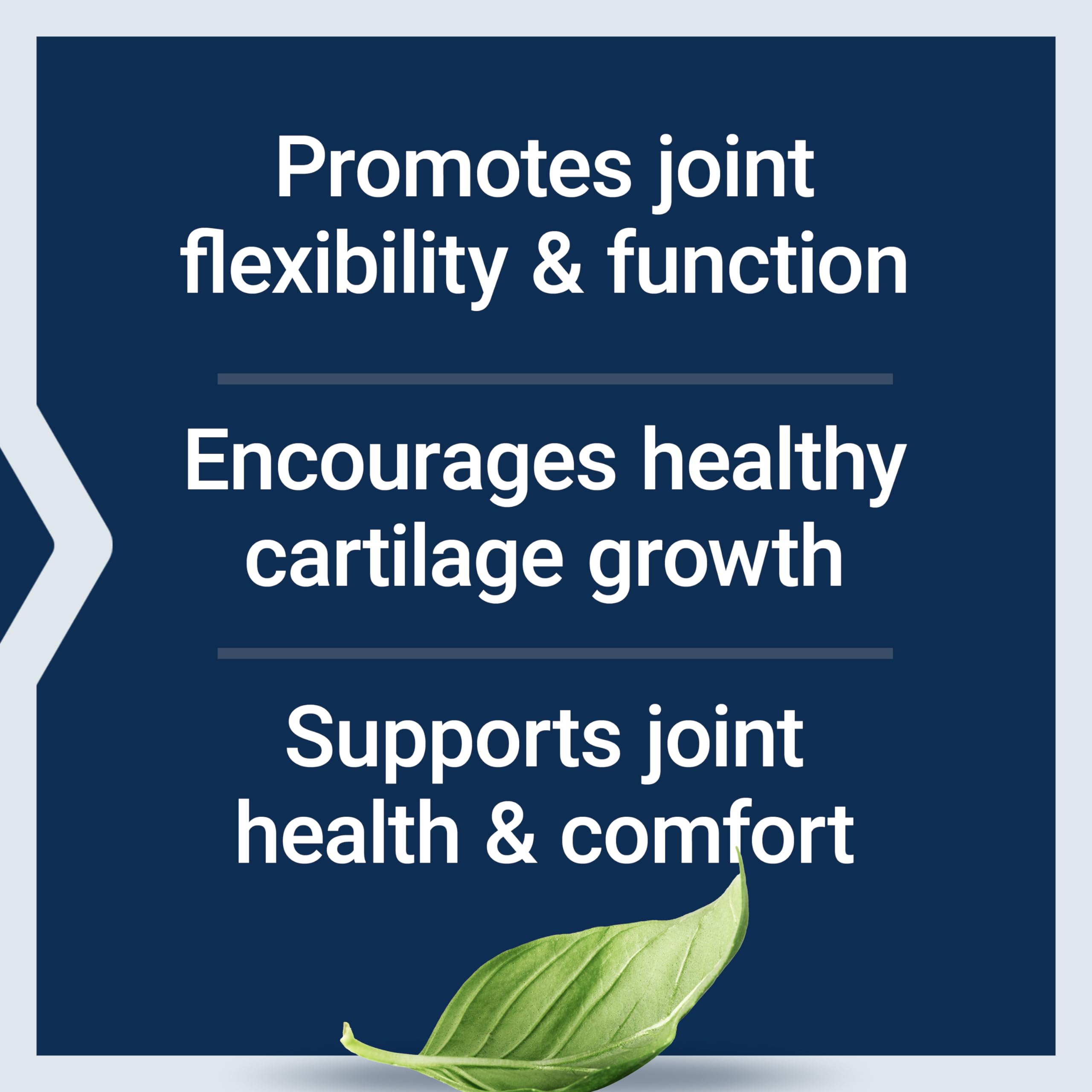 Life Extension NT2 Collagen™, Joint Health Supplement for Joint Comfort & Mobility, Gluten-Free, Non-GMO, 1 Daily, 60 Small Capsules Life ExtensionAu supplements