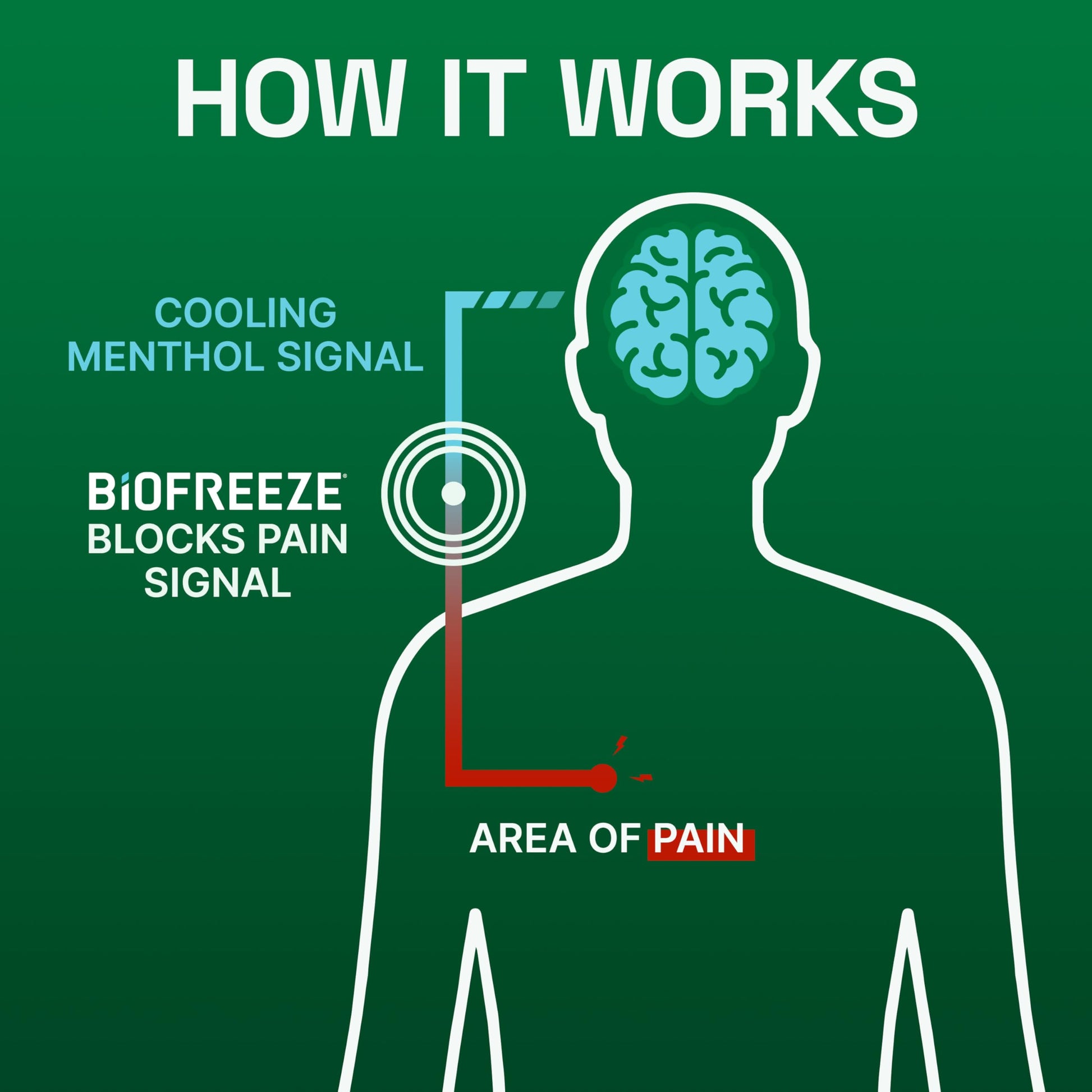 Biofreeze Pain Relief Gel, Arthritis Pain Reliver, Knee & Lower Back Pain Relief, Sore Muscle Relief, Neck Pain Relief, Pharmacist Recommended, 8 FL OZ Biofreeze Menthol Gel BiofreezeAu supplements