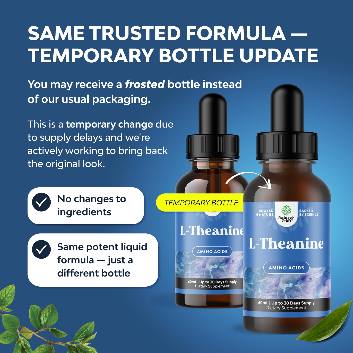 High Absorption L-Theanine Liquid Drops - Nootropic Focus Supplement with L Theanine 200mg Per Serving and Chamomile Extract Supplement for Adults and Kids Relaxation and Focus - 2 Fl Oz Natures CraftAu supplements