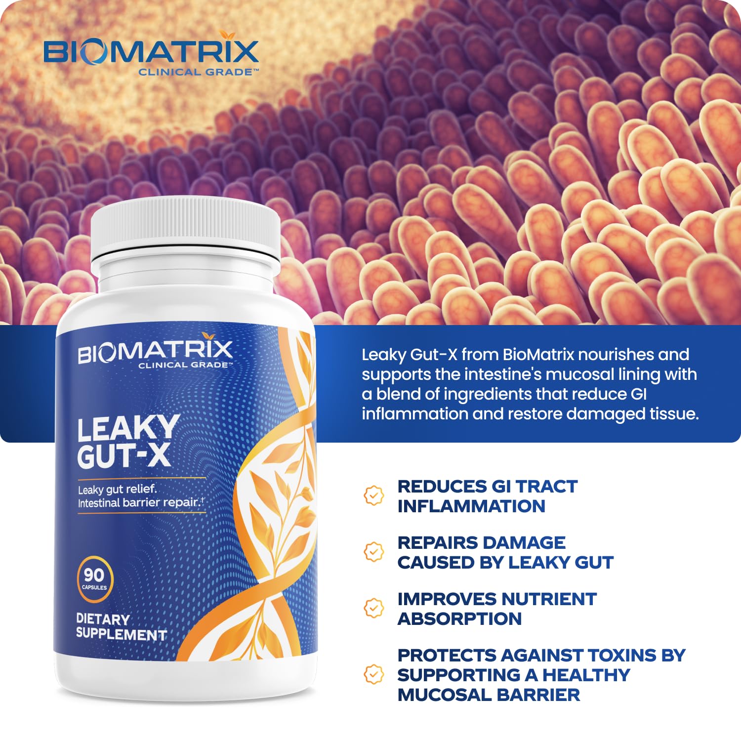 BioMatrix Leaky Gut Repair Supplement w/Glutamine, Quercetin, Cat's Claw, MSM, SIBO, Prebiotic Support, Intestinal Barrier Revive for Men and Women | 60-Day Supply – Leaky Gut-X BioMatrixAu supplements