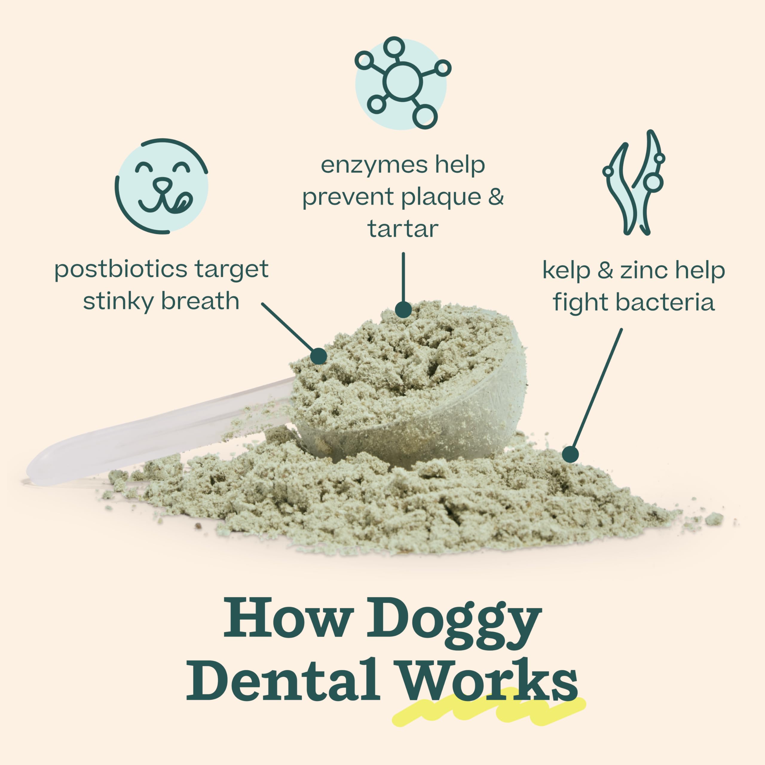Woof Doggy Dental Pupsicle Mix - Dog Teeth Cleaning Powder for The Pupsicle - Long Lasting Postbiotic Dental Enzyme Mix to Support Oral Health for Dogs WOOFAu supplements