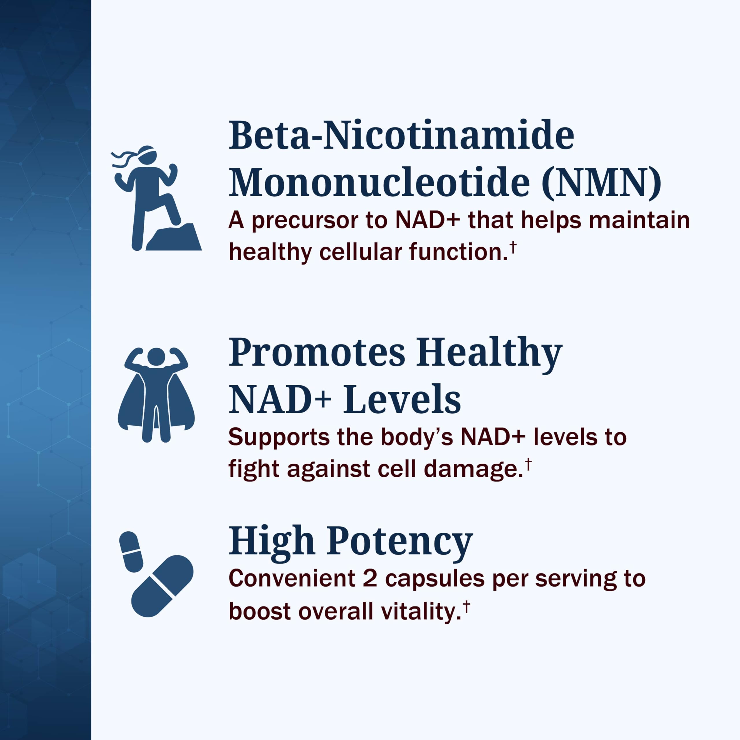 BioSchwartz NMN Supplement - 500mg Nicotinamide Mononucleotide - 30 Servings, 60 Capsules - Made in The USA with Premium Globally Sourced Ingredients, Third-Party Tested, Gluten-Free NMN Supplement BioSchwartzAu supplements