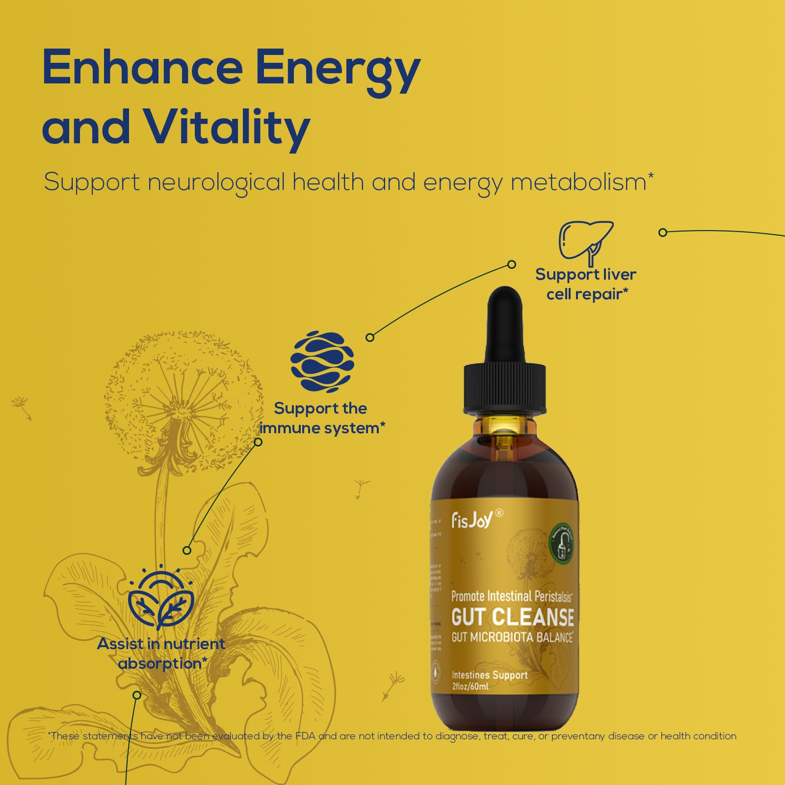 Fisjoy L-Carnitine & Herbal Liquid Drops – Gentle Daily Digestive Support with Pumpkin Seed, Clove & PAU D’Arco Extracts, Folate & Chromium, Vegan, Sugar-Free, 2 fl oz (60 mL) FisjoyAu supplements