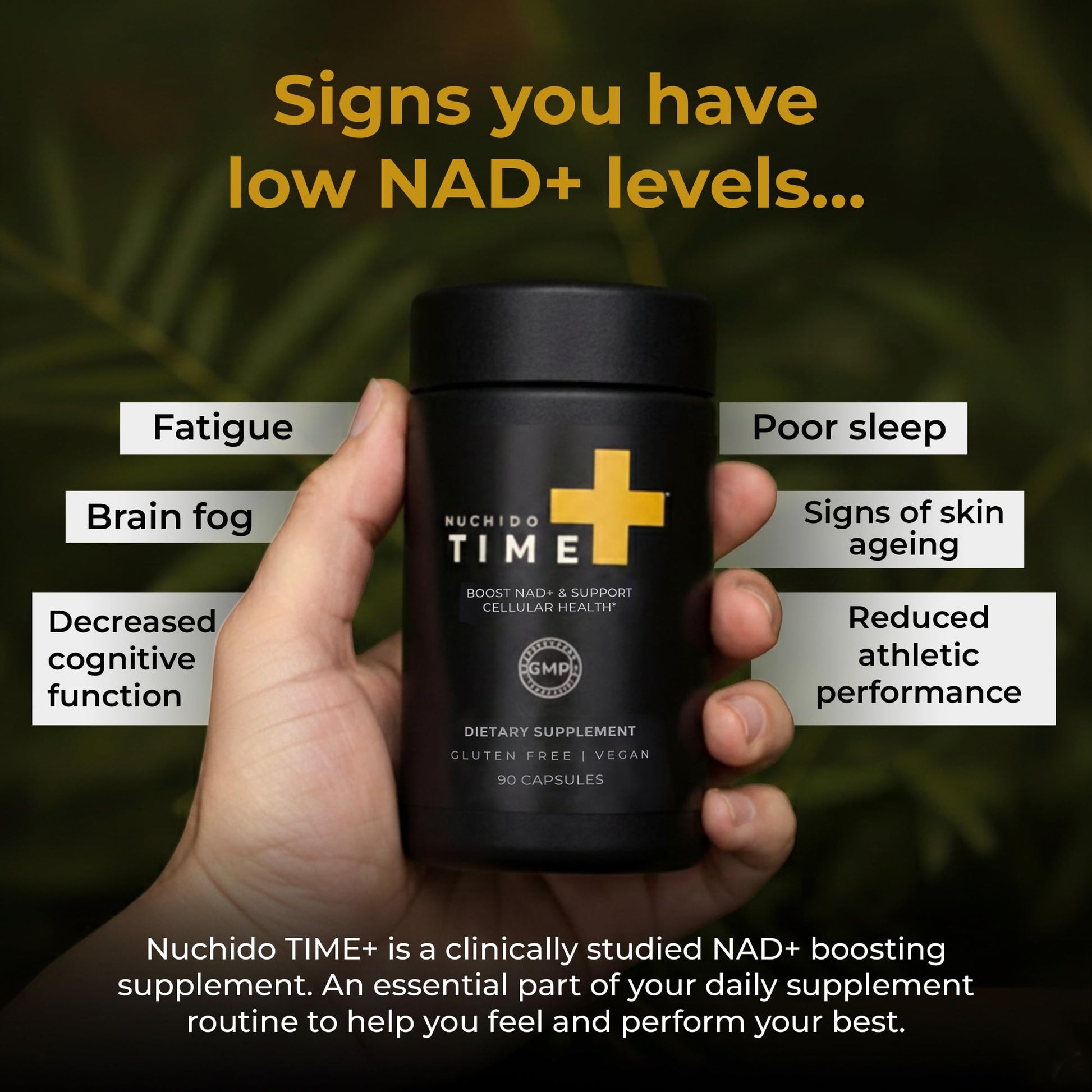 Nuchido Time+ NAD Supplement for Men & Women - Advanced Formula for Healthy Aging, Energy, Focus, Cellular Health & Longevity - Nicotinamide, Alpha Lipoic Acid, Quercetin - 90 Capsules Nuchido Time+Au supplements