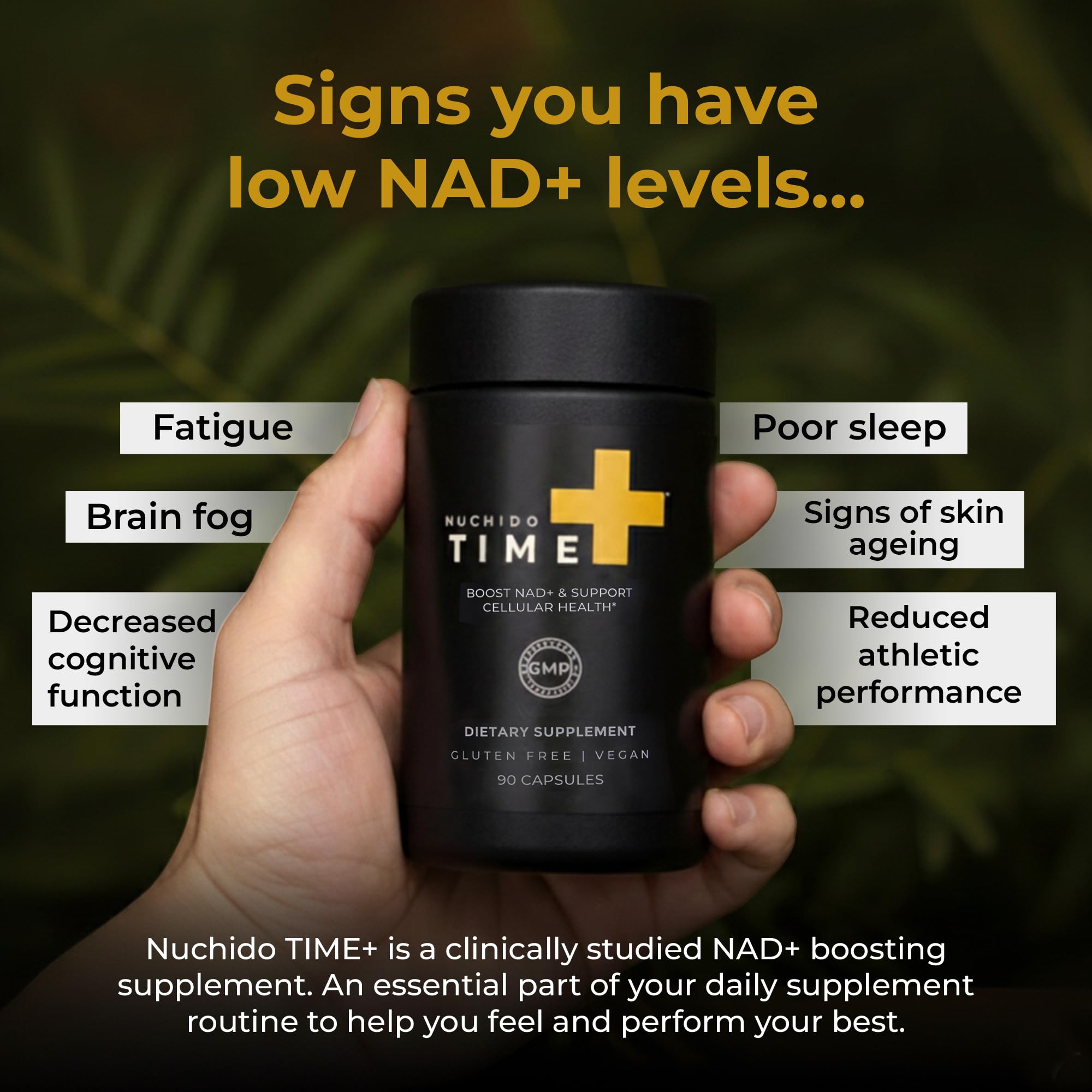 Nuchido Time+ NAD Supplement for Men & Women - Advanced Formula for Healthy Aging, Energy, Focus, Cellular Health & Longevity - Nicotinamide, Alpha Lipoic Acid, Quercetin - 90 Capsules Nuchido Time+Au supplements
