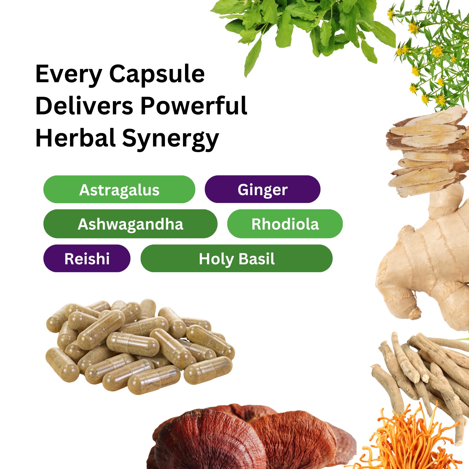 Paradise Herbs, Imperial Adaptogens, with Ashwagandha, Astragalus, Rhodiola, Proprietary Adaptogen Blend for Stress Support, Focus & Energy, 60 Vegetarian Capsules Paradise HerbsAu supplements