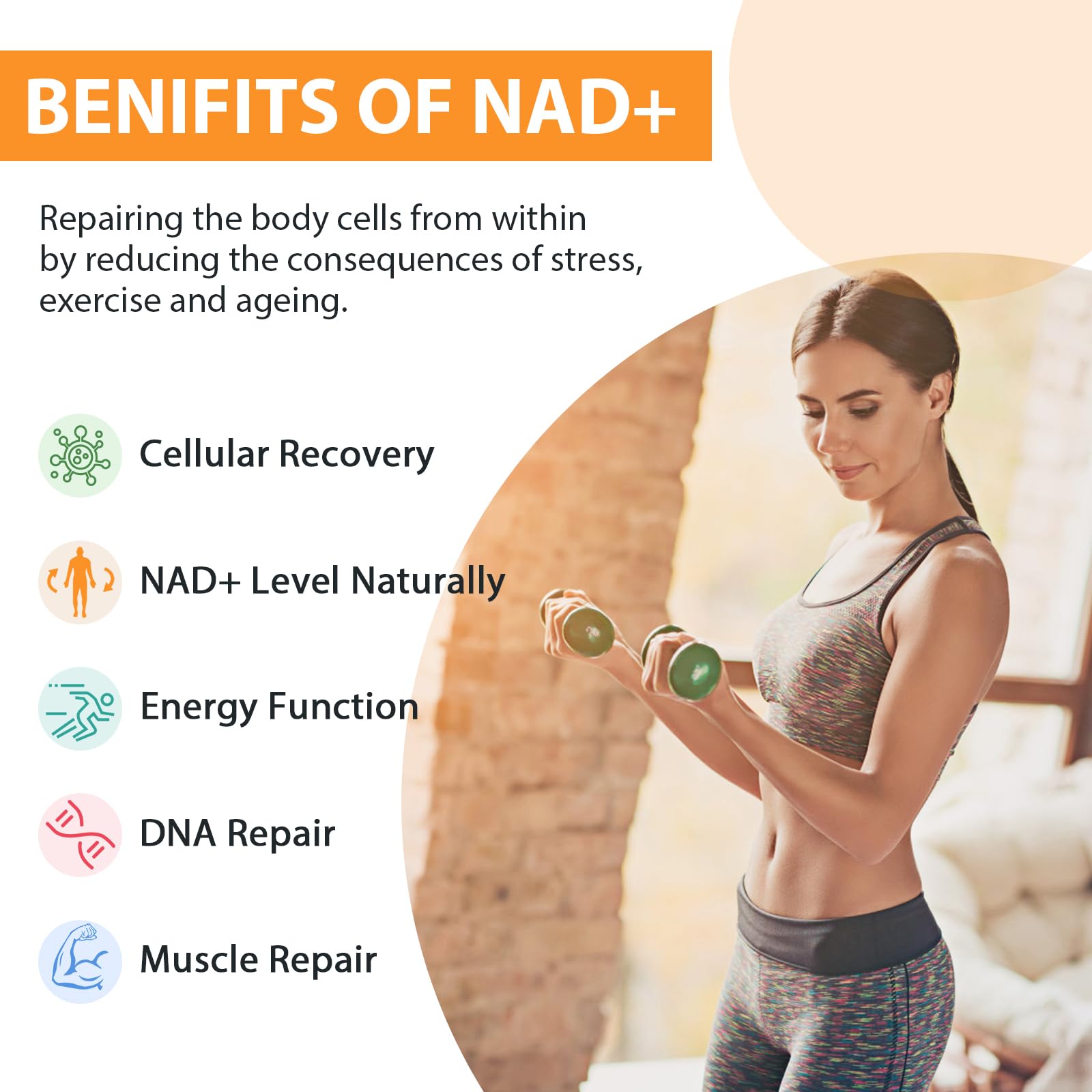 Orgabay Liposomal NAD+ Supplement 500 mg, High Absorption, Boost NAD+ with TMG 250 mg, Actual NAD Plus More Efficient Than Nicotinamide Riboside, Support Cellular Energy, Healthy Aging | 60 Softgels OrgabayAu supplements