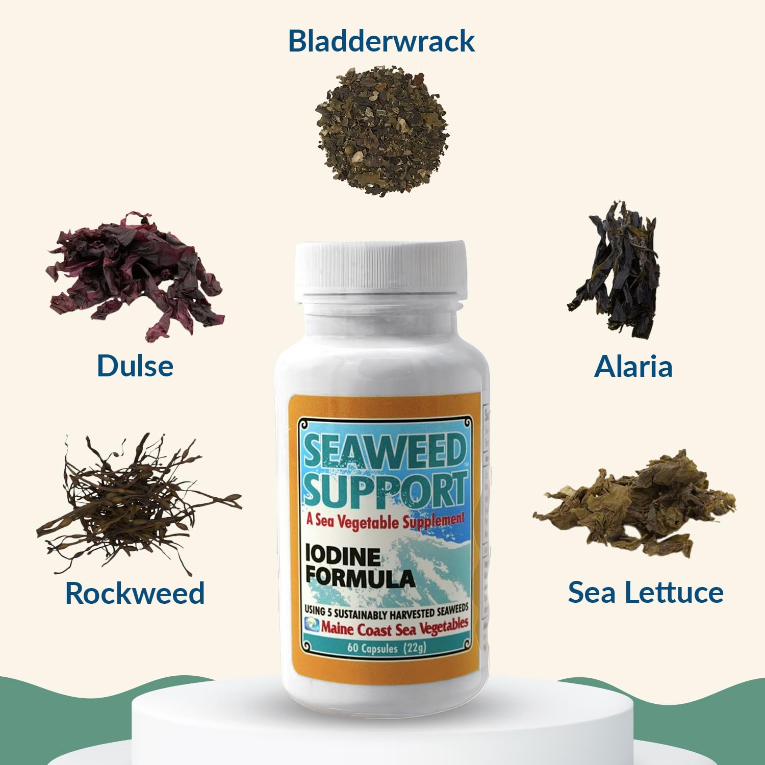 Maine Coast Sea Vegetables Seaweed Support Iodine Formula | Source of Iodine from Seaweed | Daily Use Iodine Supplement | Organic Alaria, Rockweed, Sea Lettuce, Dulse & Bladderwrack blend | 60 Capsule Maine Coast Sea VegetablesAu supplements