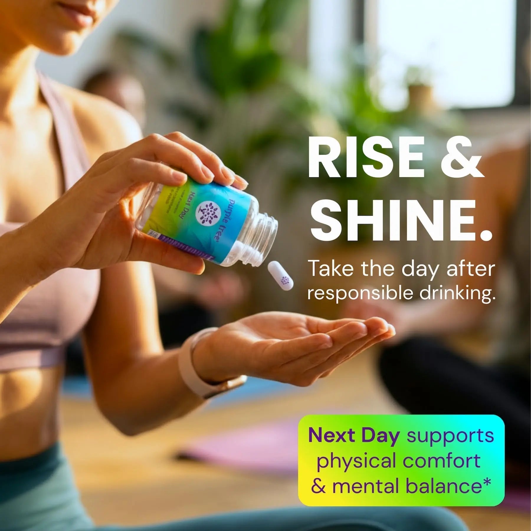 purple tree Next Day – Post-Drink Morning Wellness Supplement for Balance, Restore & Replenishment | Ashwagandha KSM-66, Milk Thistle, Ginger purple treeAu supplements