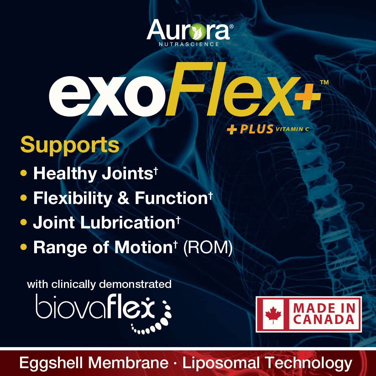Aurora Nutrascience Micro-Pack Liposomal exoFlex+ with Vitamin C, Supports Joint Flexibility & Function, BiovaFlex Eggshell Membrane, Curcumin & Boswellia, Strwaberry Flavor, 30 Servings, 10 fl oz Vida LifescienceAu supplements