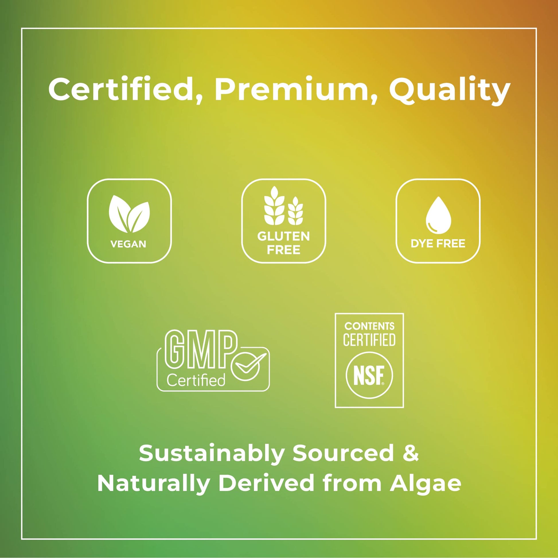 Theralogix PhytoLife Omega - 90-Day Supply - Vegan Algae Omega-3 Supplement TheralogixUS supplements