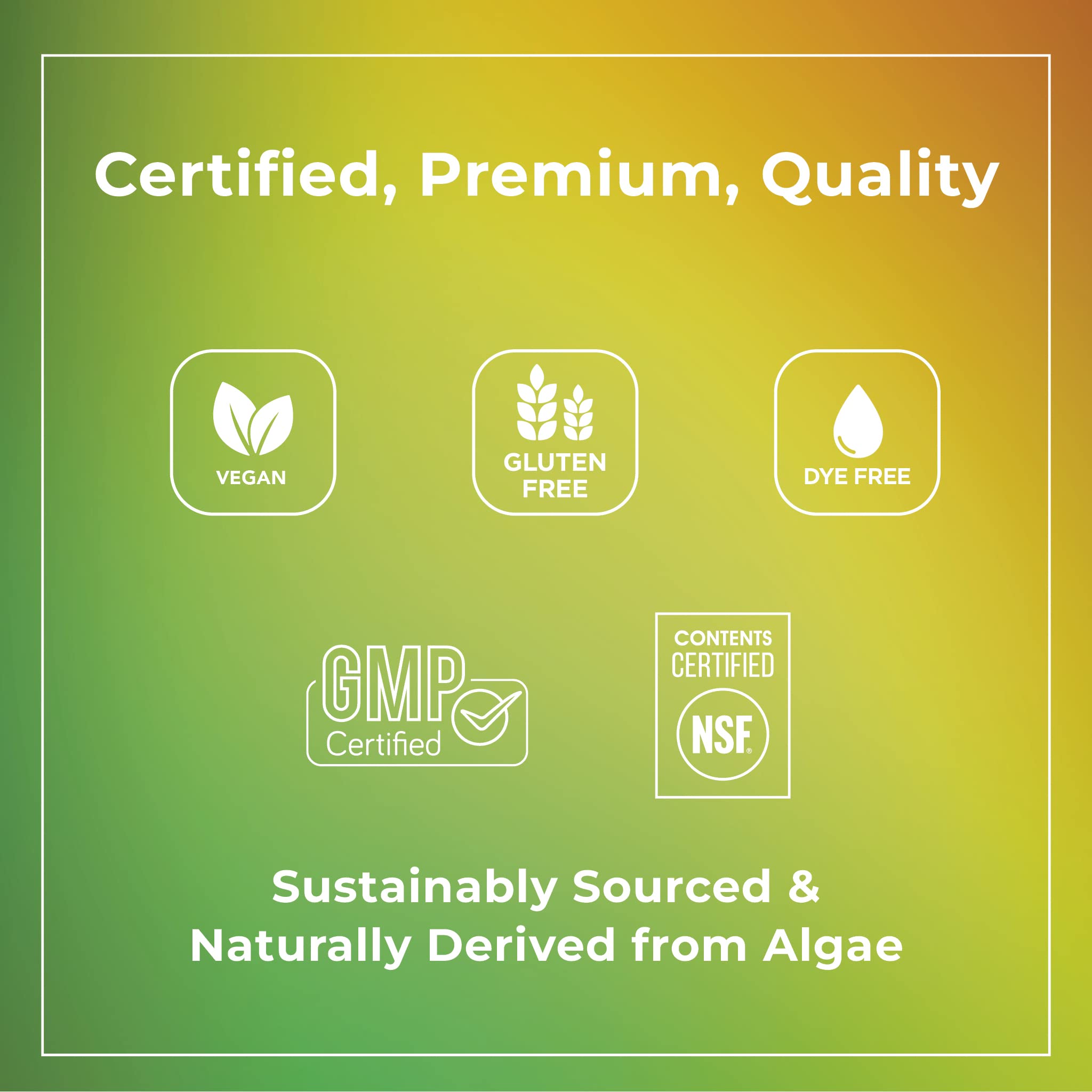 Theralogix PhytoLife Omega - 90-Day Supply - Vegan Algae Omega-3 Supplement TheralogixUS supplements