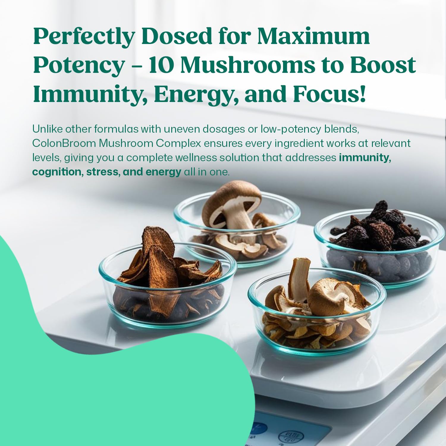 ColonBroom Mushroom Complex, Powerful Mushroom Blend with Cordyceps, Reishi, Shiitake, Lion’s Mane Extract for Energy, Immunity, Stress Relief & Cognitive Health - 60 Capsules, 30 Day Supply ColonBroomAu supplements
