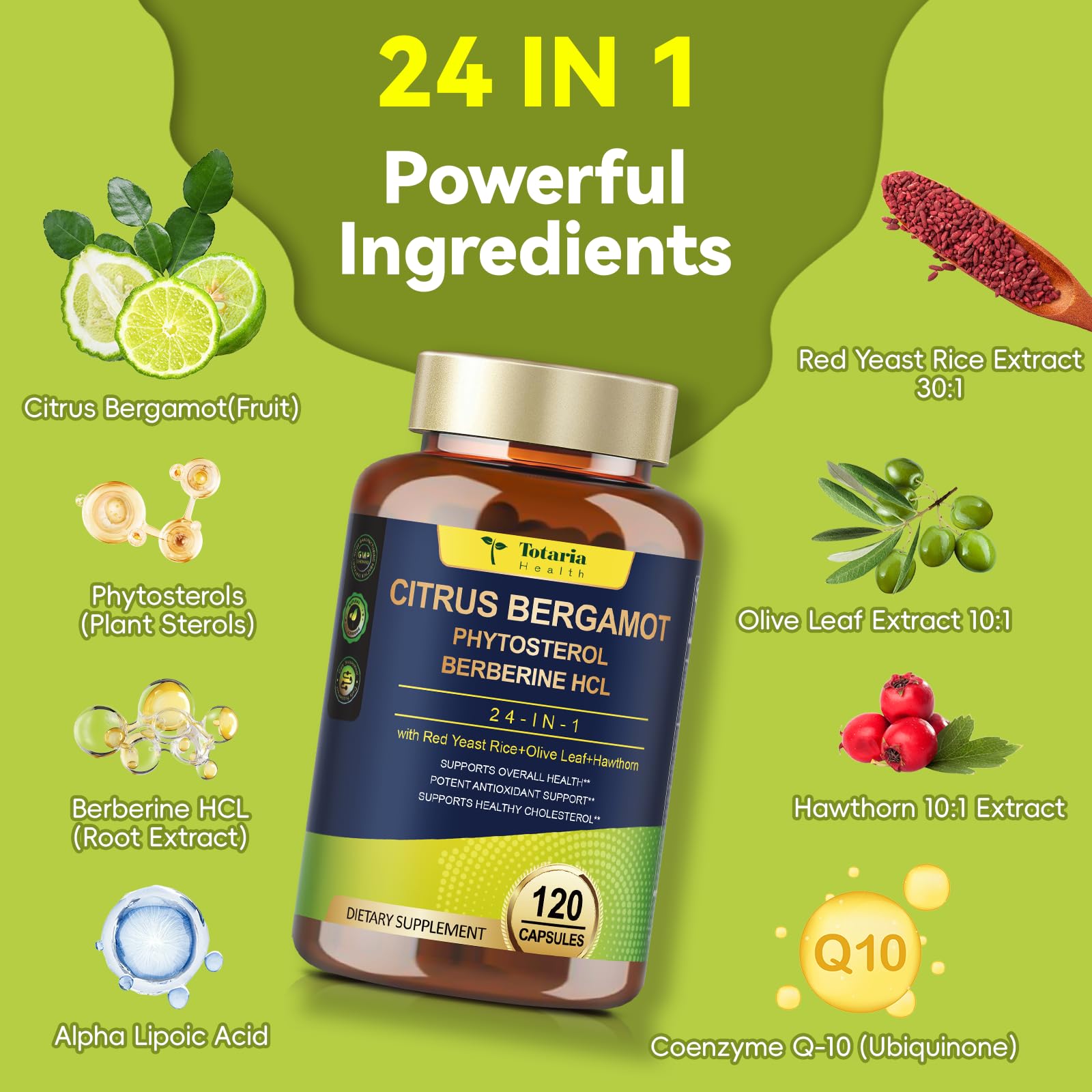 Citrus Bergamot Supplement for High Cholesterol - Italian Citrus Bergamot & Plant Sterols Stanols Natural Way to Balance Cholesterol Level, Cholesterol Lowering Supplements, Vegan, Non-GMO, 120 Counts TotariaAu supplements
