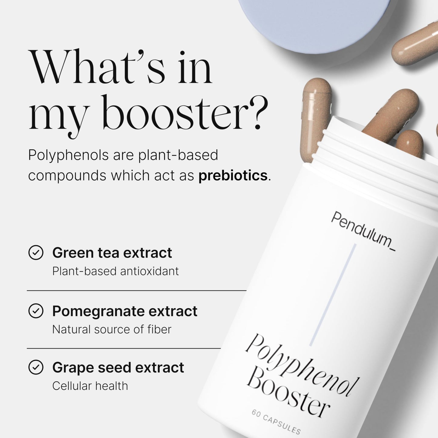 Pendulum Polyphenol Booster, Antioxidant from Superfoods, Beneficial Plant Compounds for Good Health, Helps Boost Akkermansia Muciniphila for Men & Women (60 Capsules, 1-Pack) PendulumUS supplements